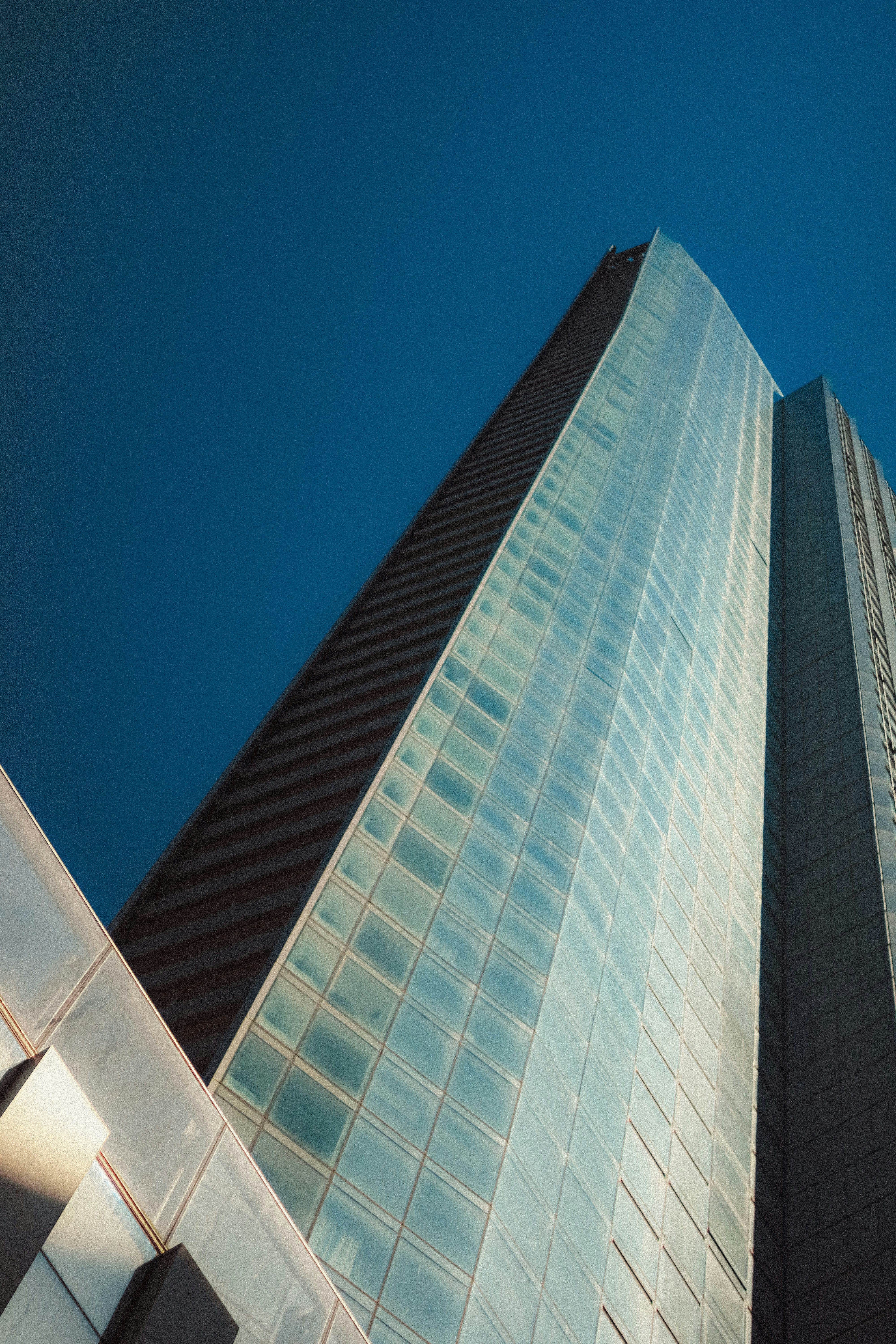 Photo by linusbelanger