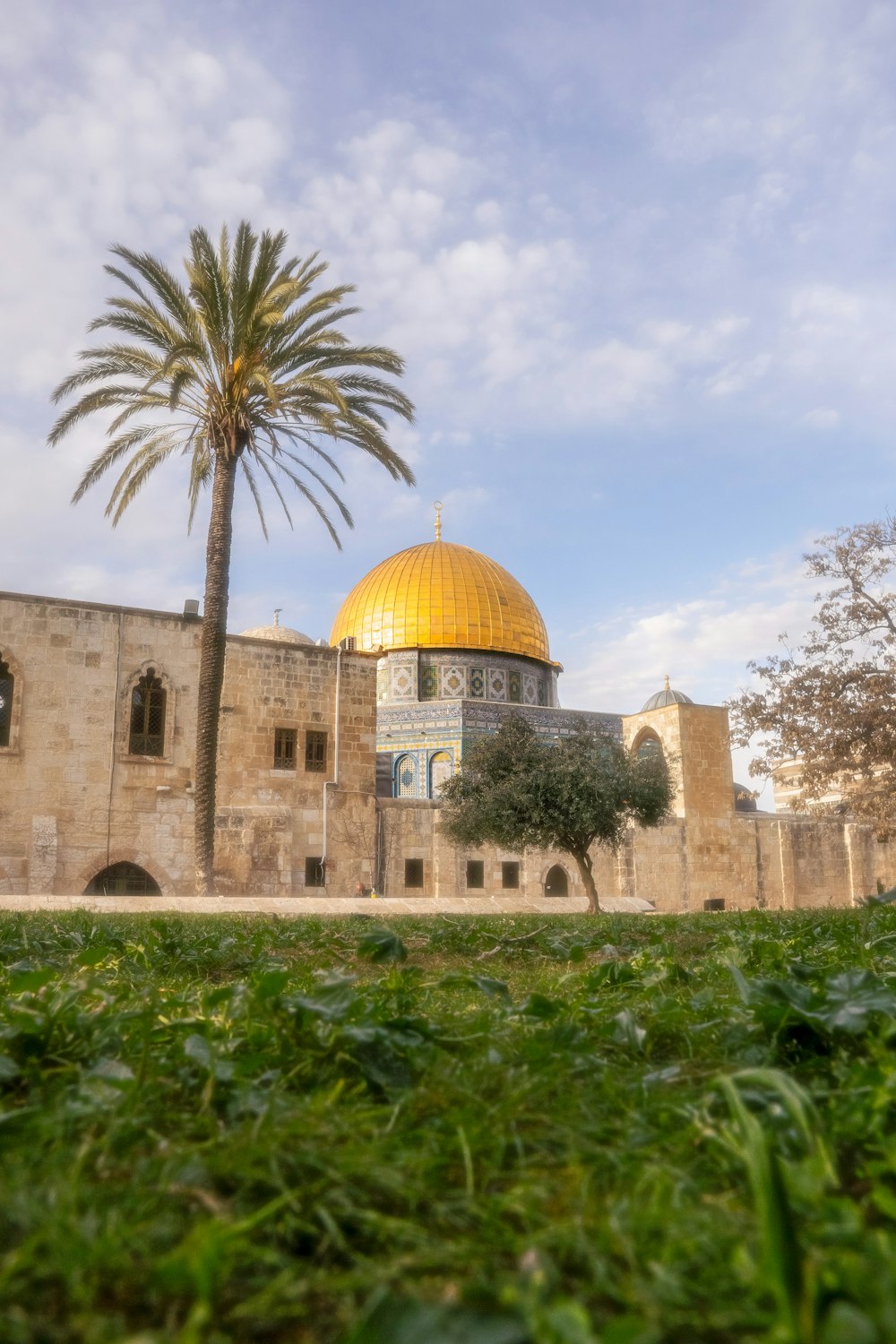 a large building with a dome and a palm tree in front of it