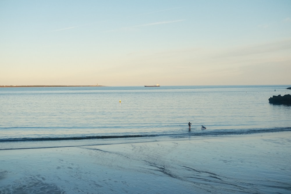 a person standing on a beach next to the ocean