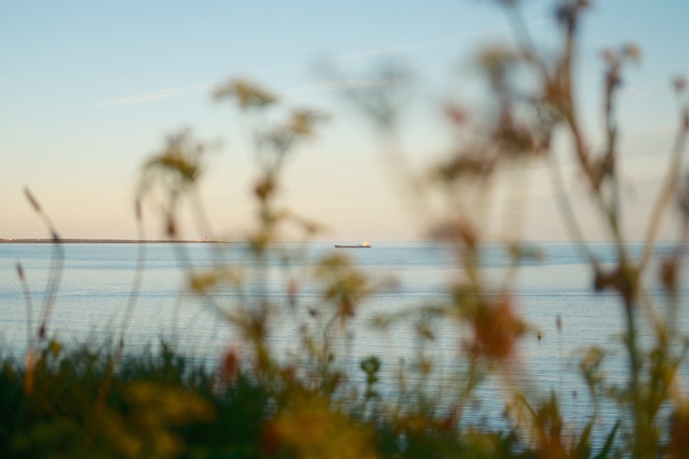 a body of water with a boat in the distance