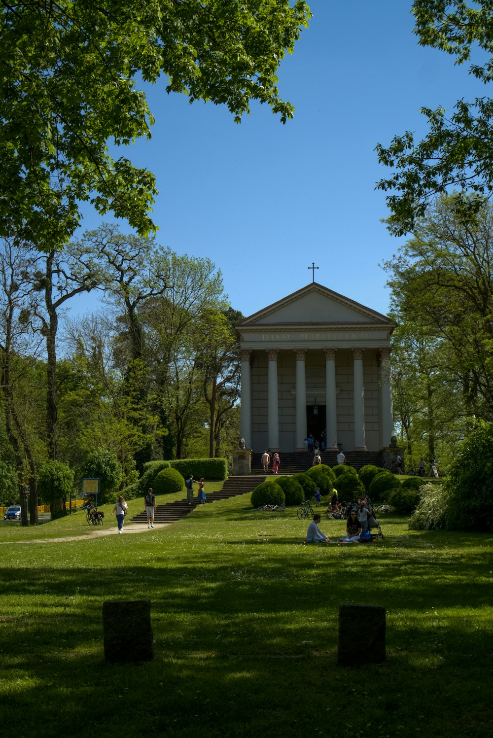 a group of people sitting on top of a lush green field