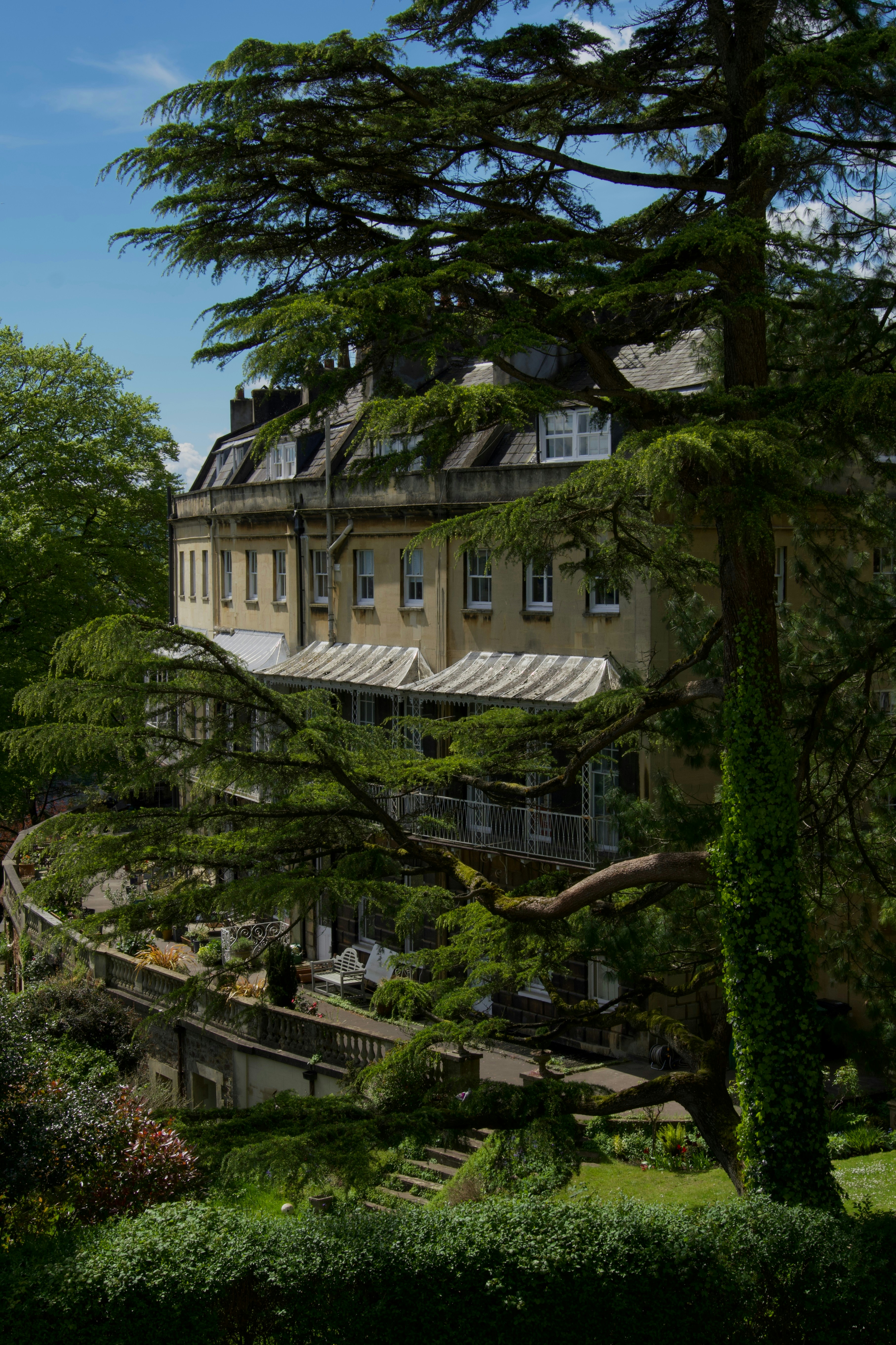 a large building with a lot of trees in front of it