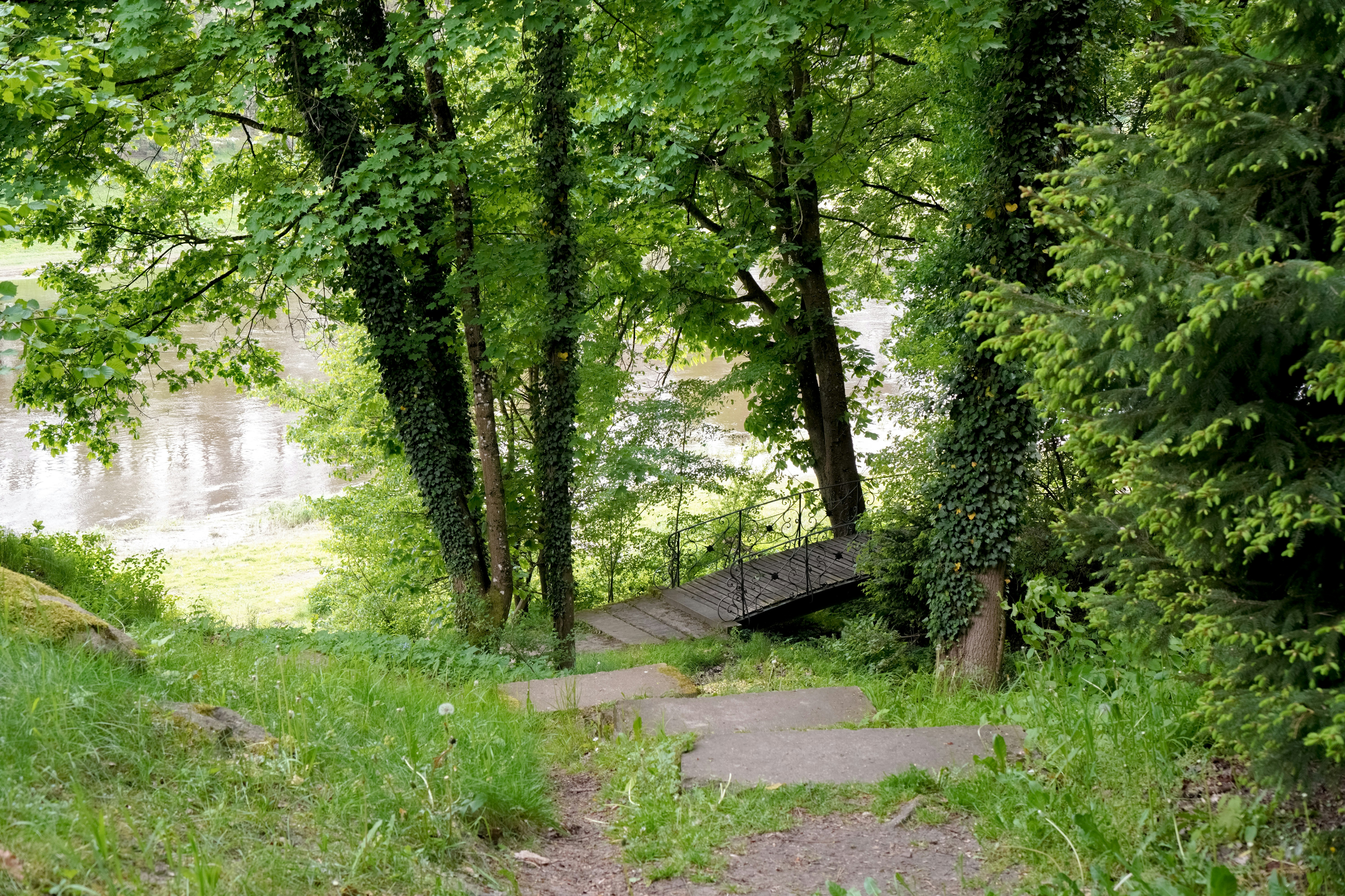 Photo by rabbit_in_blue