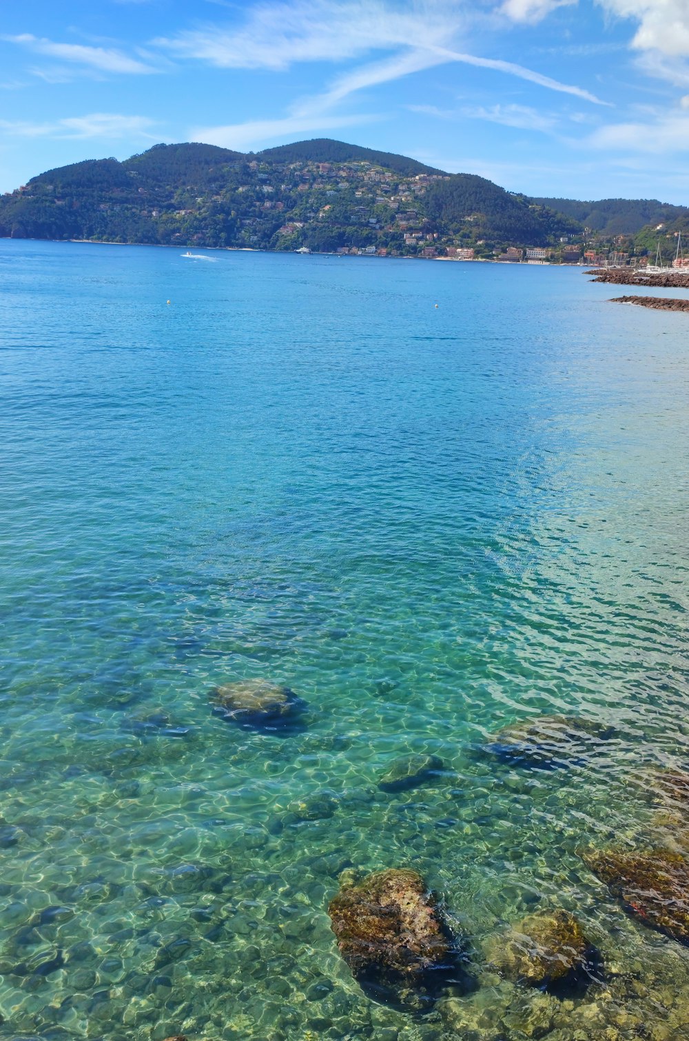 a body of water that has some rocks in it