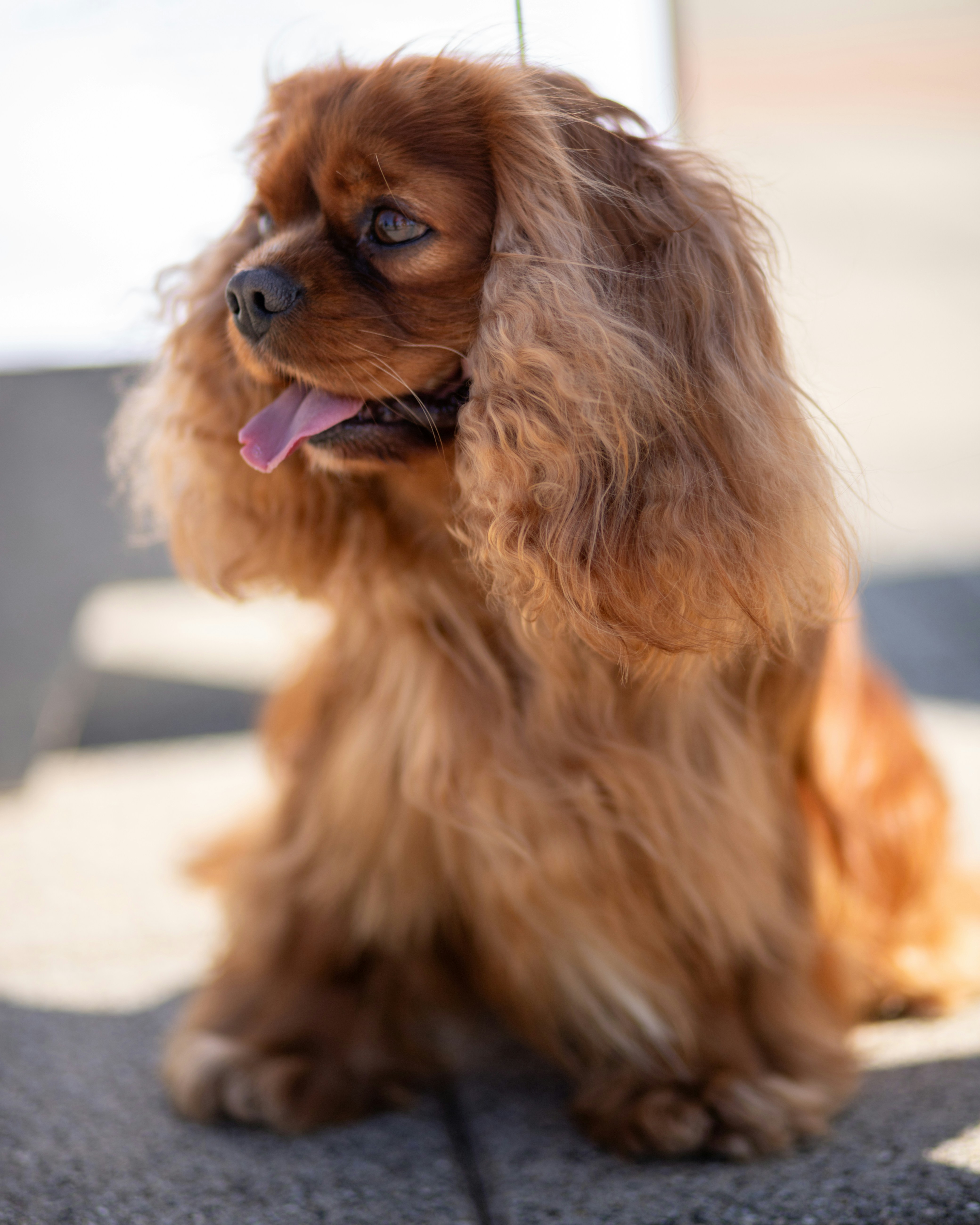 Photo by mladenscekic