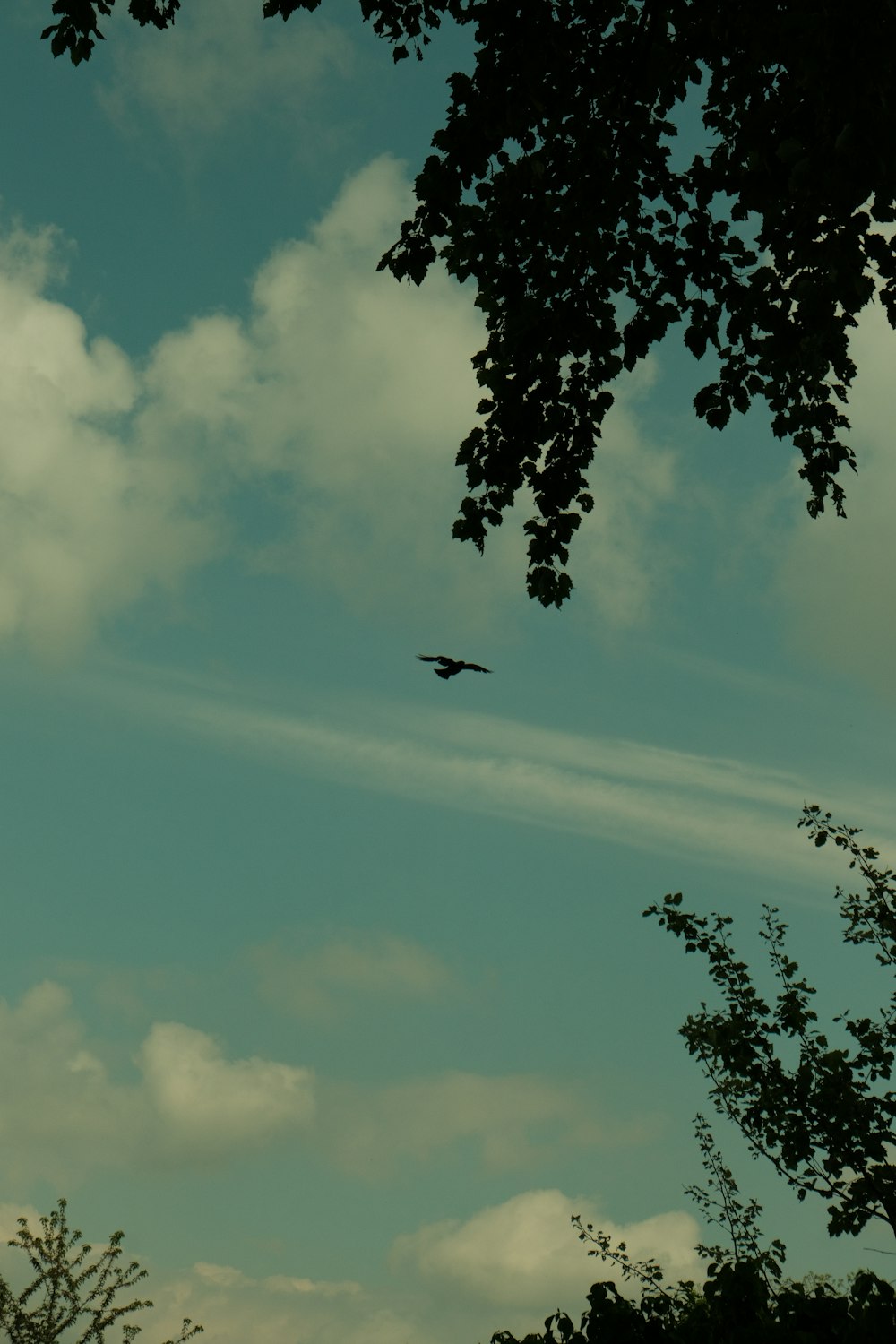 un avión volando a través de un cielo azul nublado