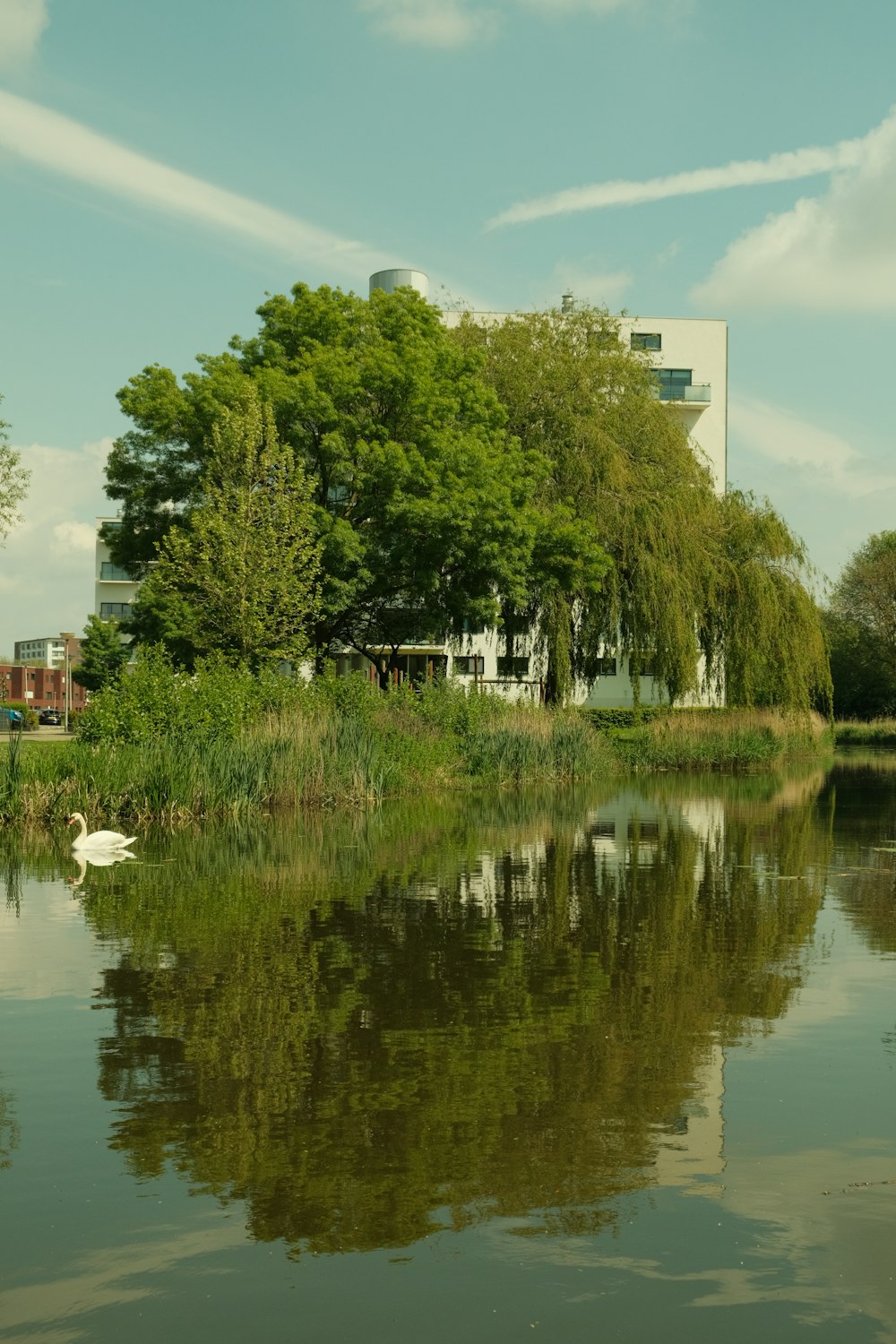 a large body of water with a building in the background