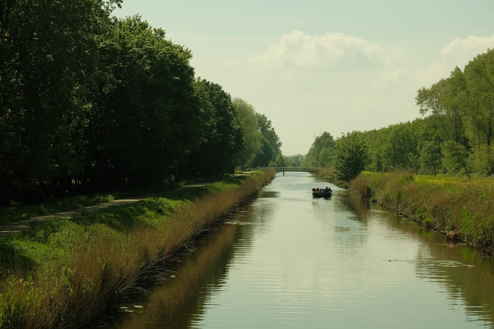 a boat traveling down a river next to a lush green forest