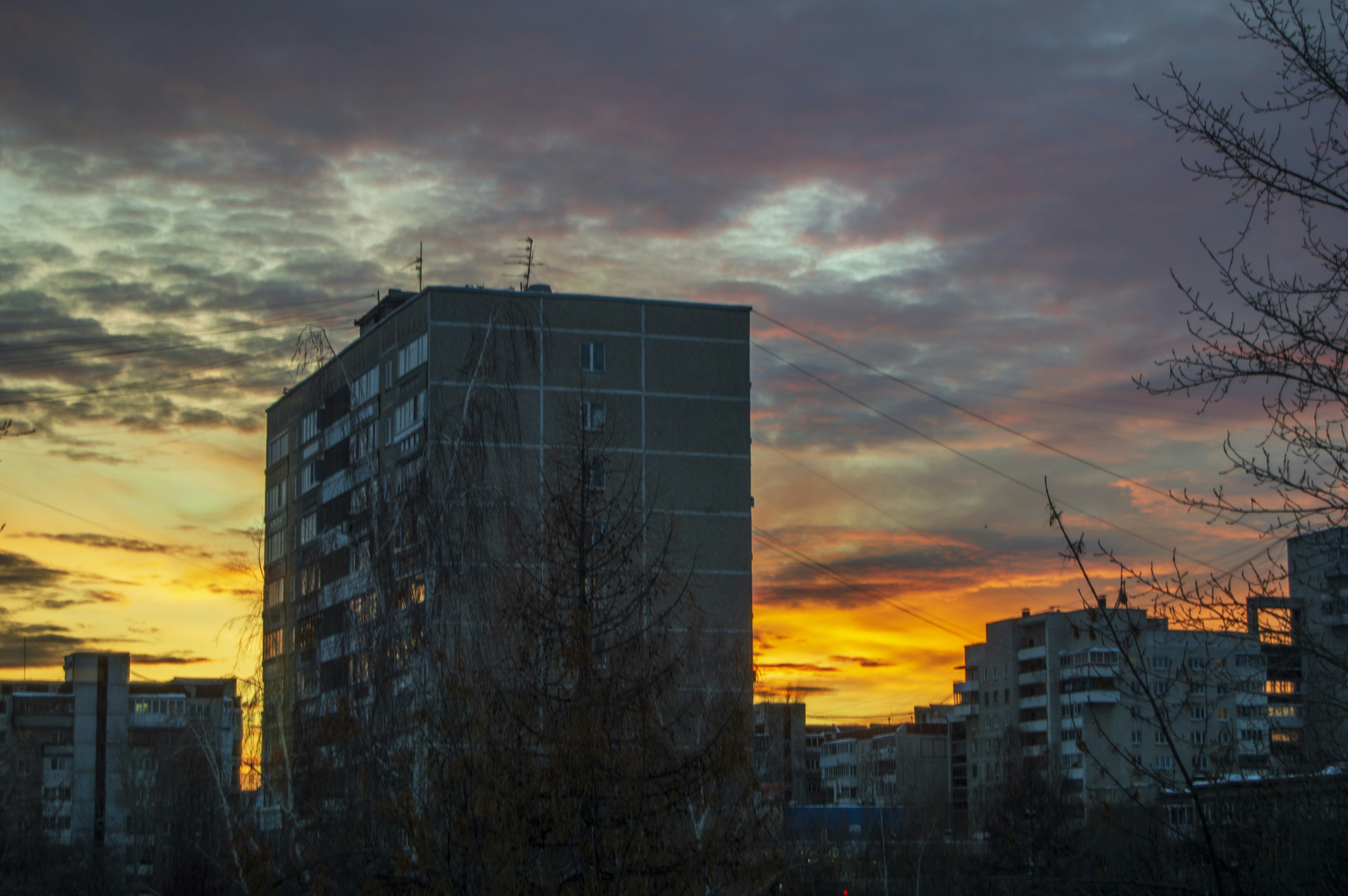 Photo by frosted_vulpes_ferrilata