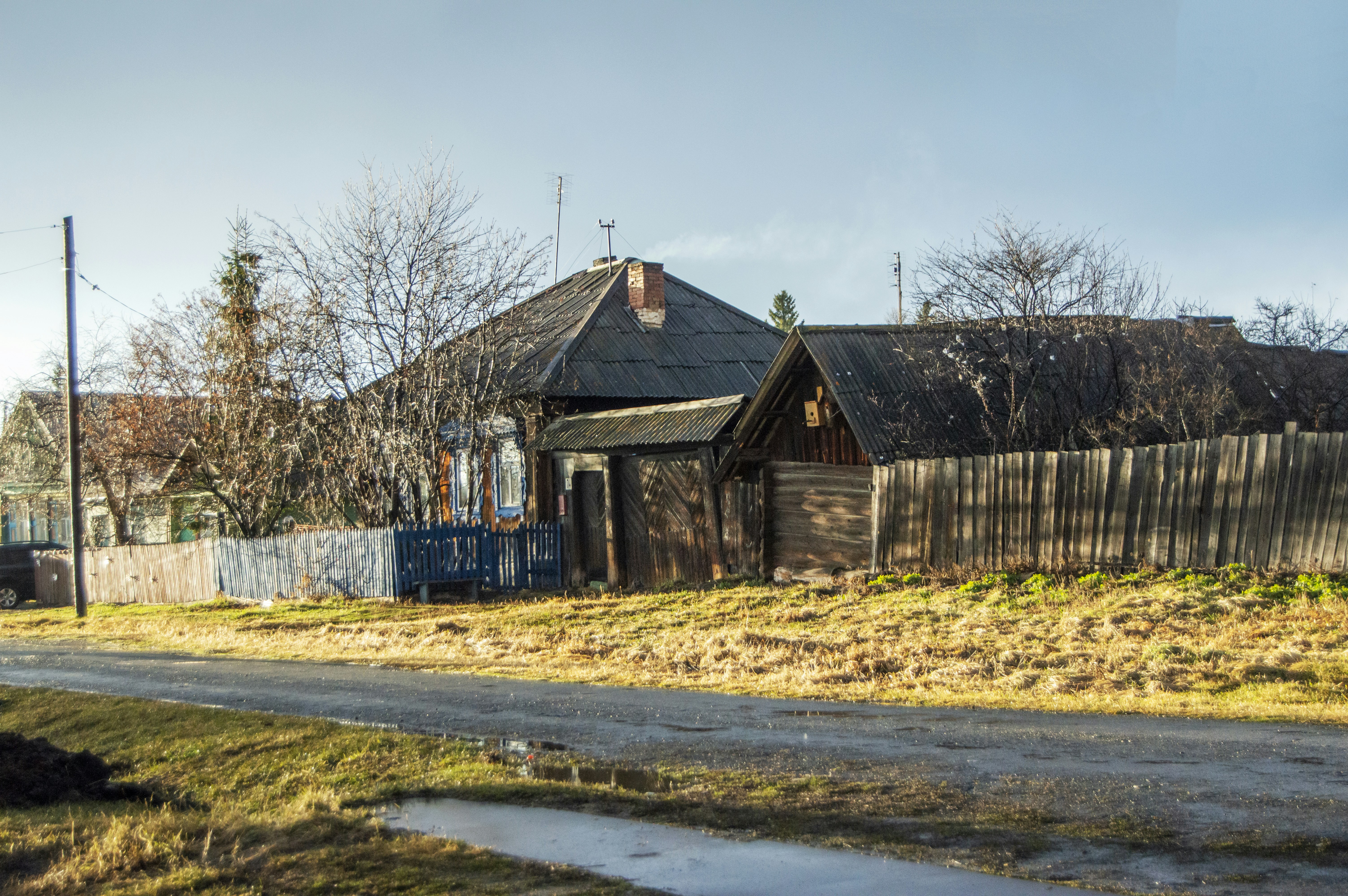 Photo by frosted_vulpes_ferrilata