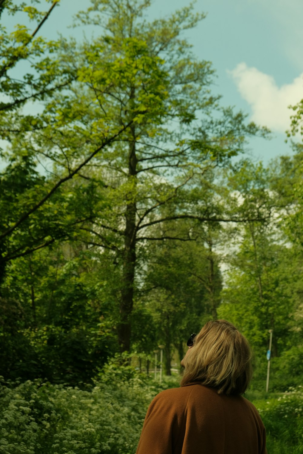 una mujer caminando a través de un frondoso bosque verde