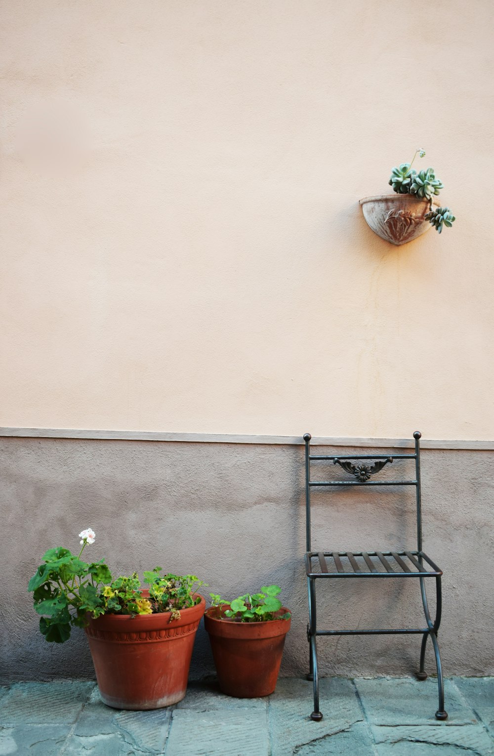 two potted plants sitting next to a metal shelf