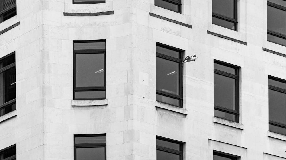 a black and white photo of a building with many windows