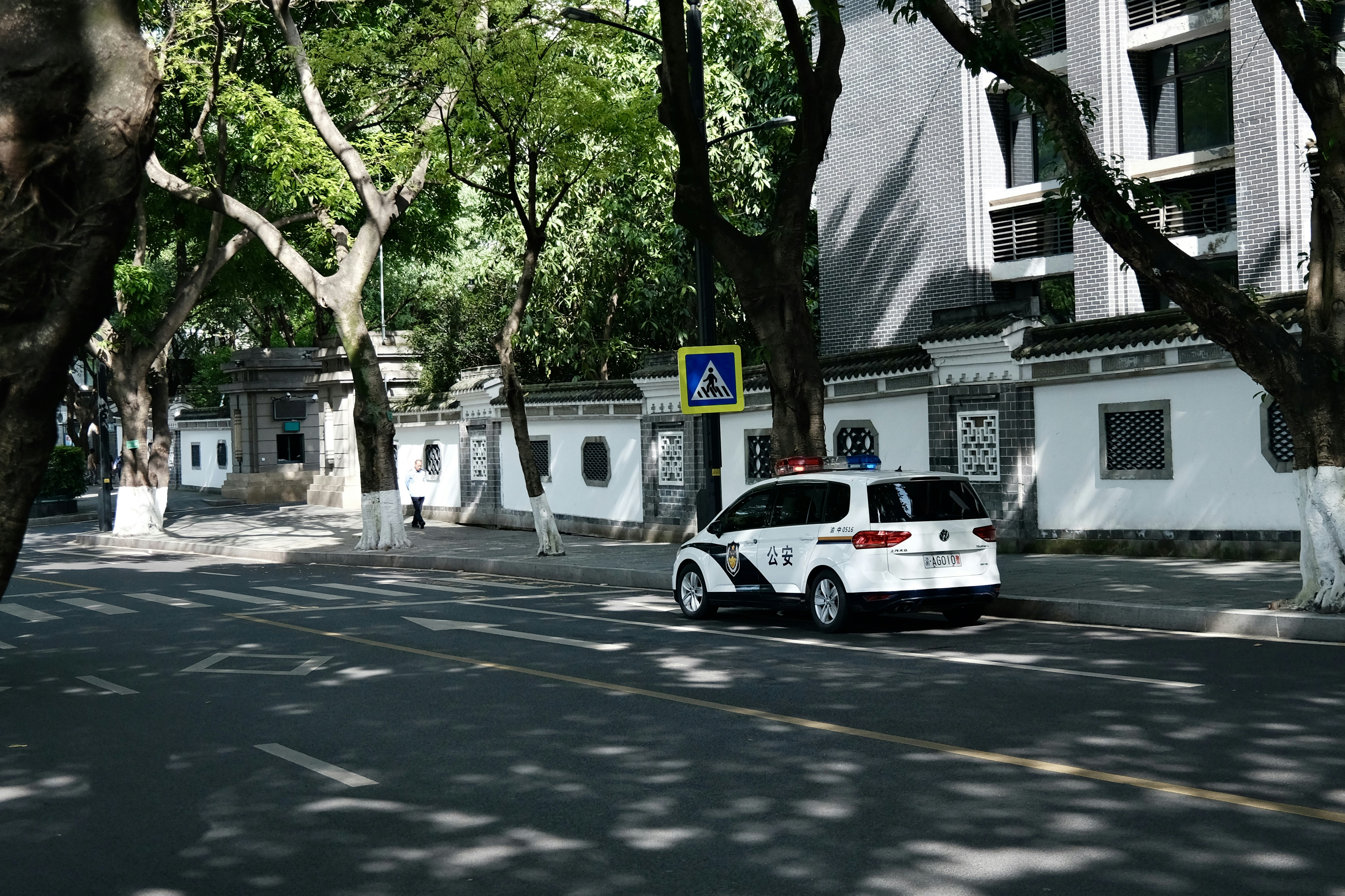 Go EV in 2025: Should Your Next Car Be Electric?