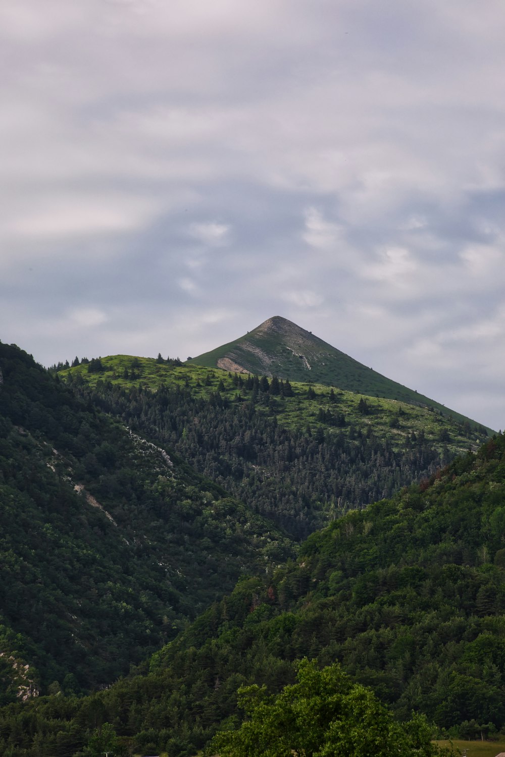 a large mountain with trees on the side of it