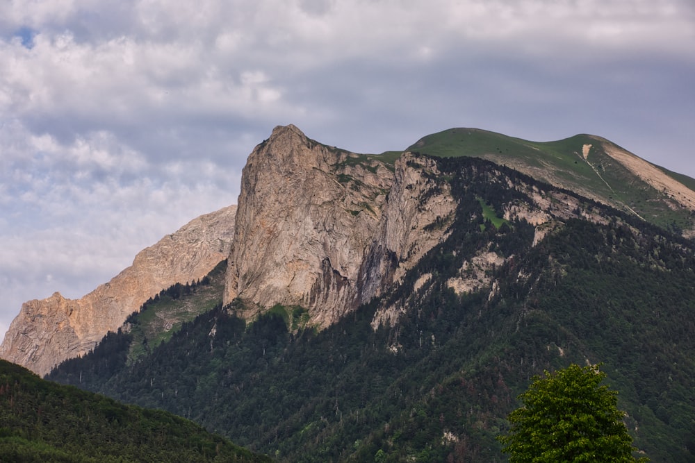 a mountain range with a few trees in the foreground