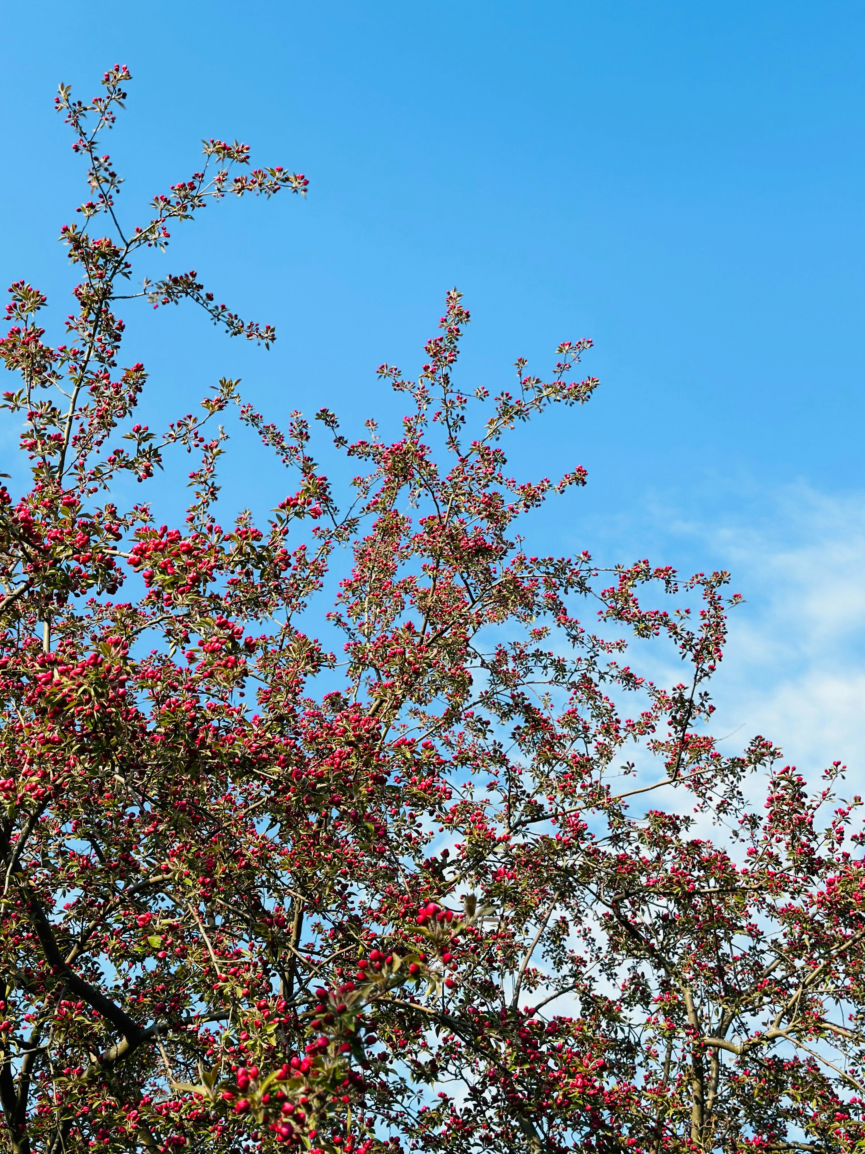 Photo by mdeepkandola