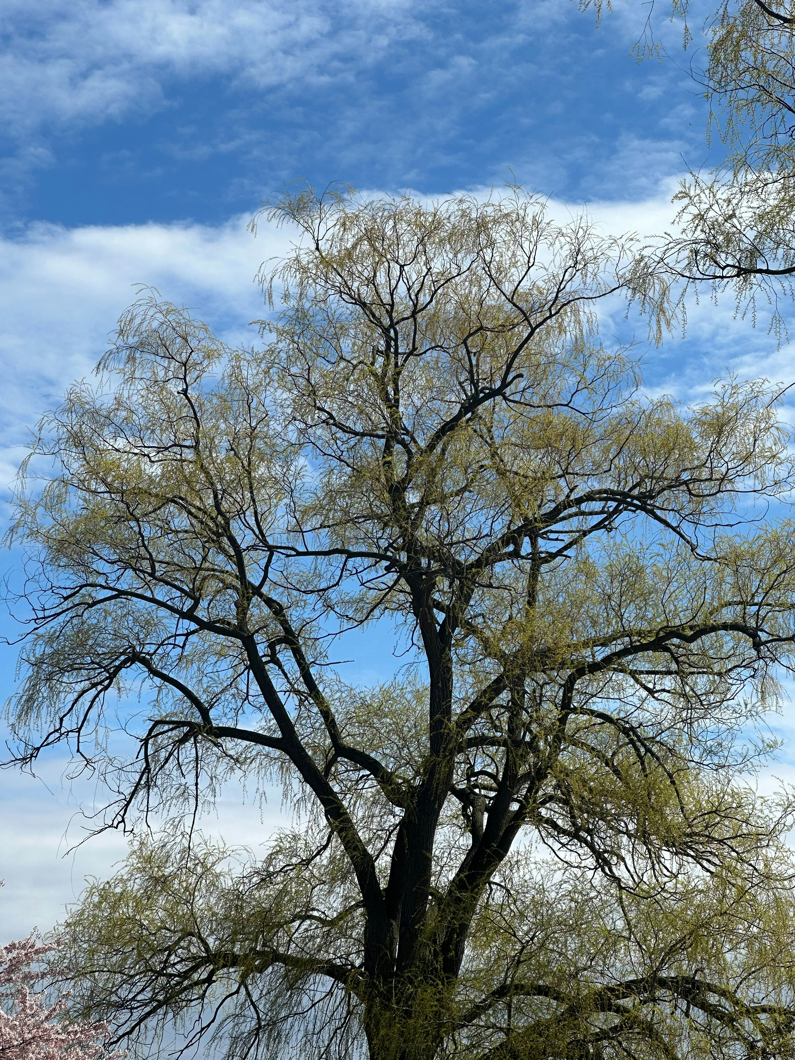 Photo by mdeepkandola