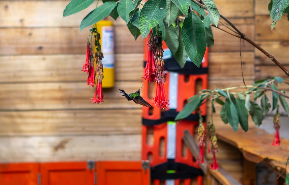 a hummingbird flying through a tree filled with flowers