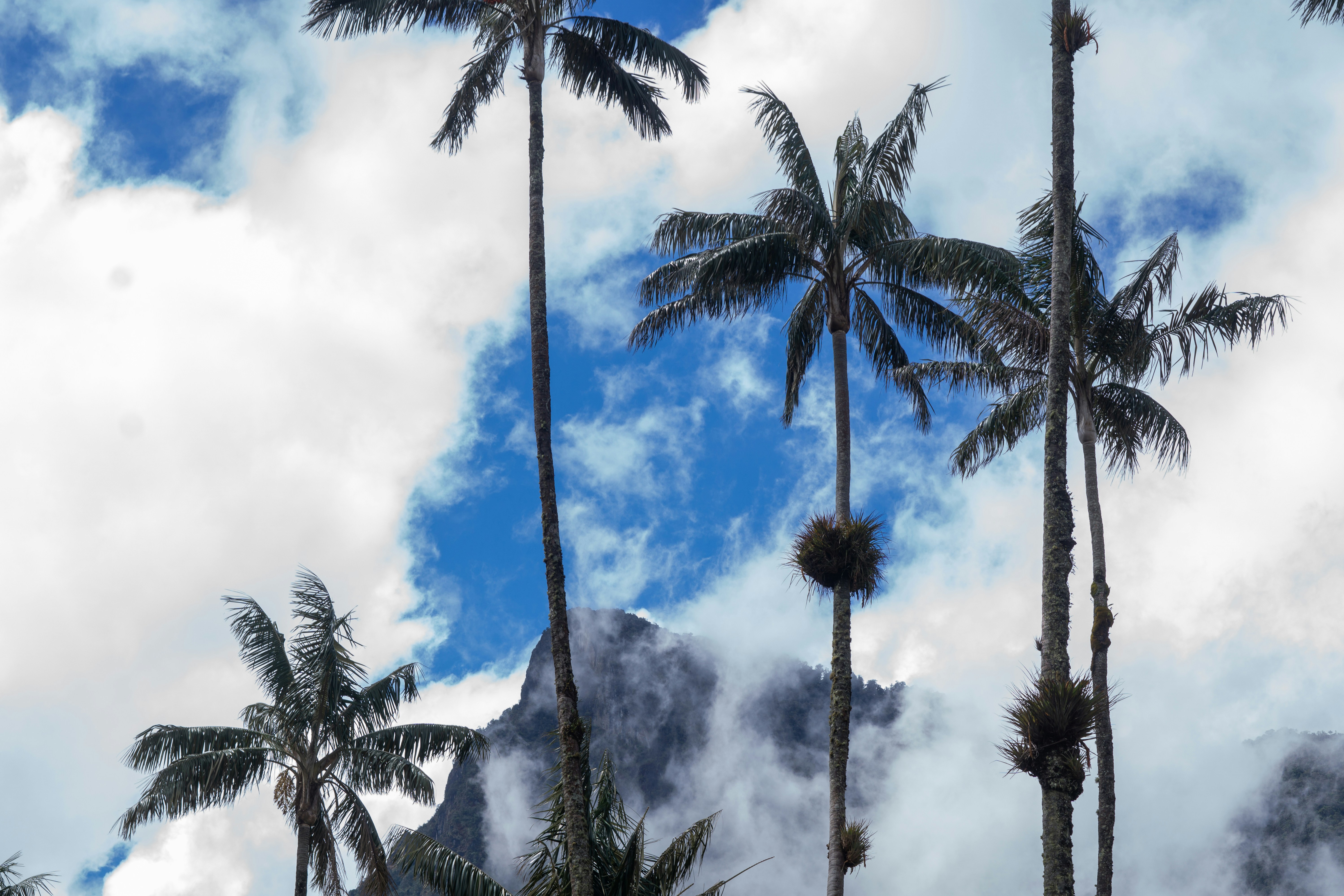 Salento – Geography & Spatial Structure