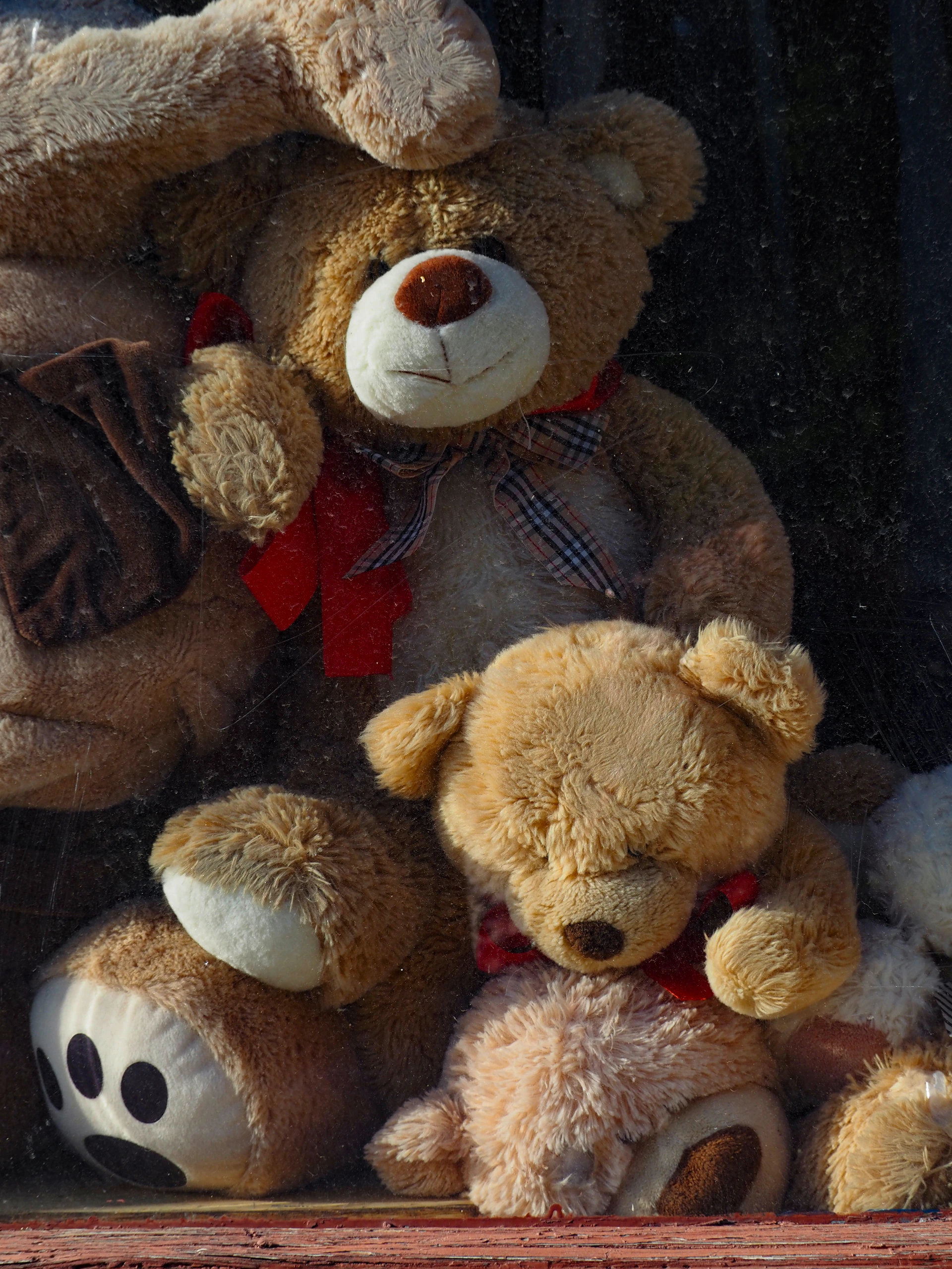 a group of teddy bears sitting next to each other