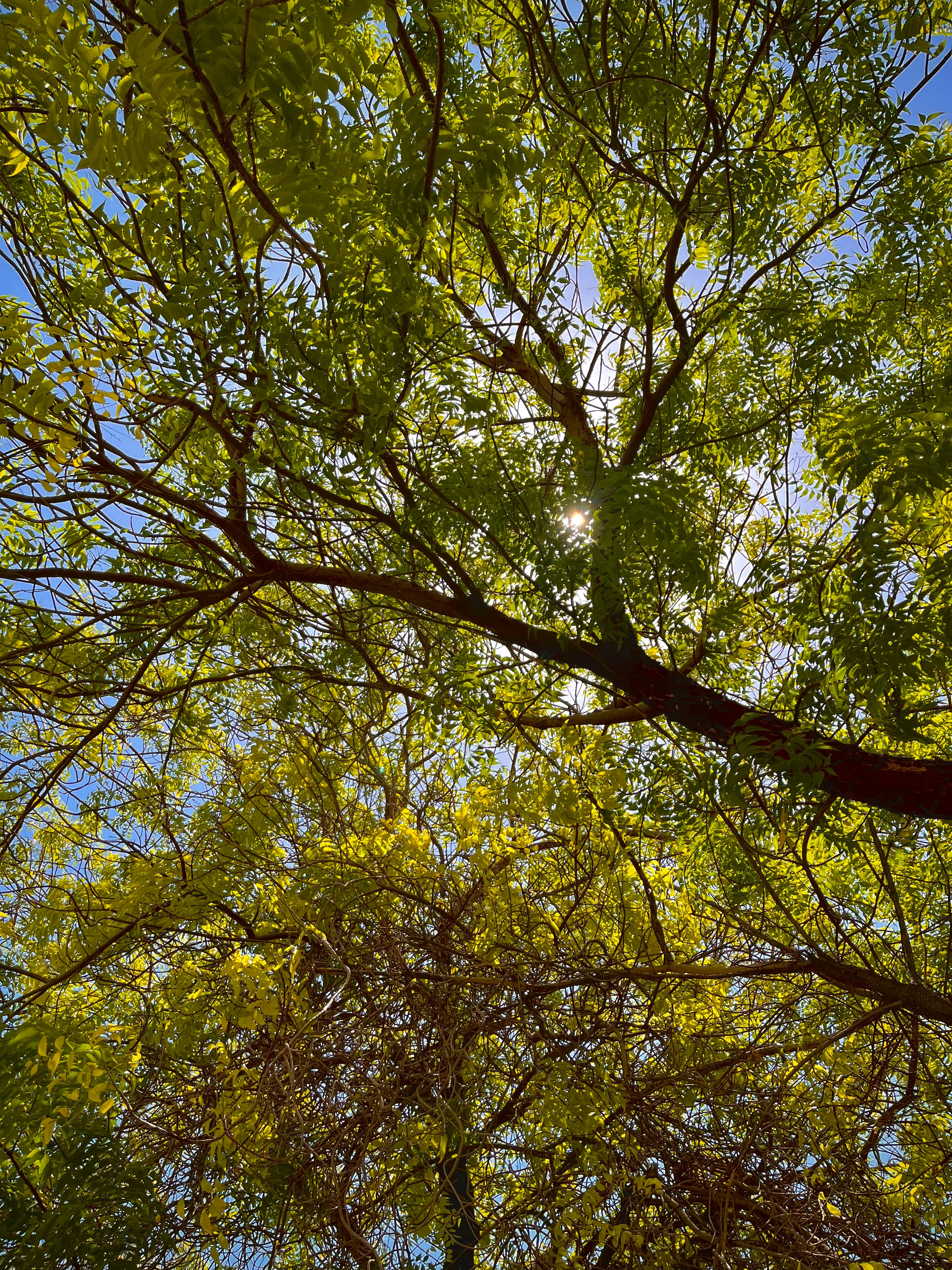 Photo by leenabushnag