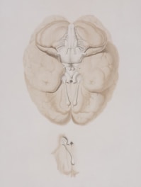 a drawing of a human brain and a hand