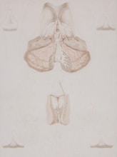 a drawing of a diagram of the human body