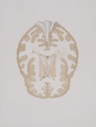 a drawing of a human brain in a white background