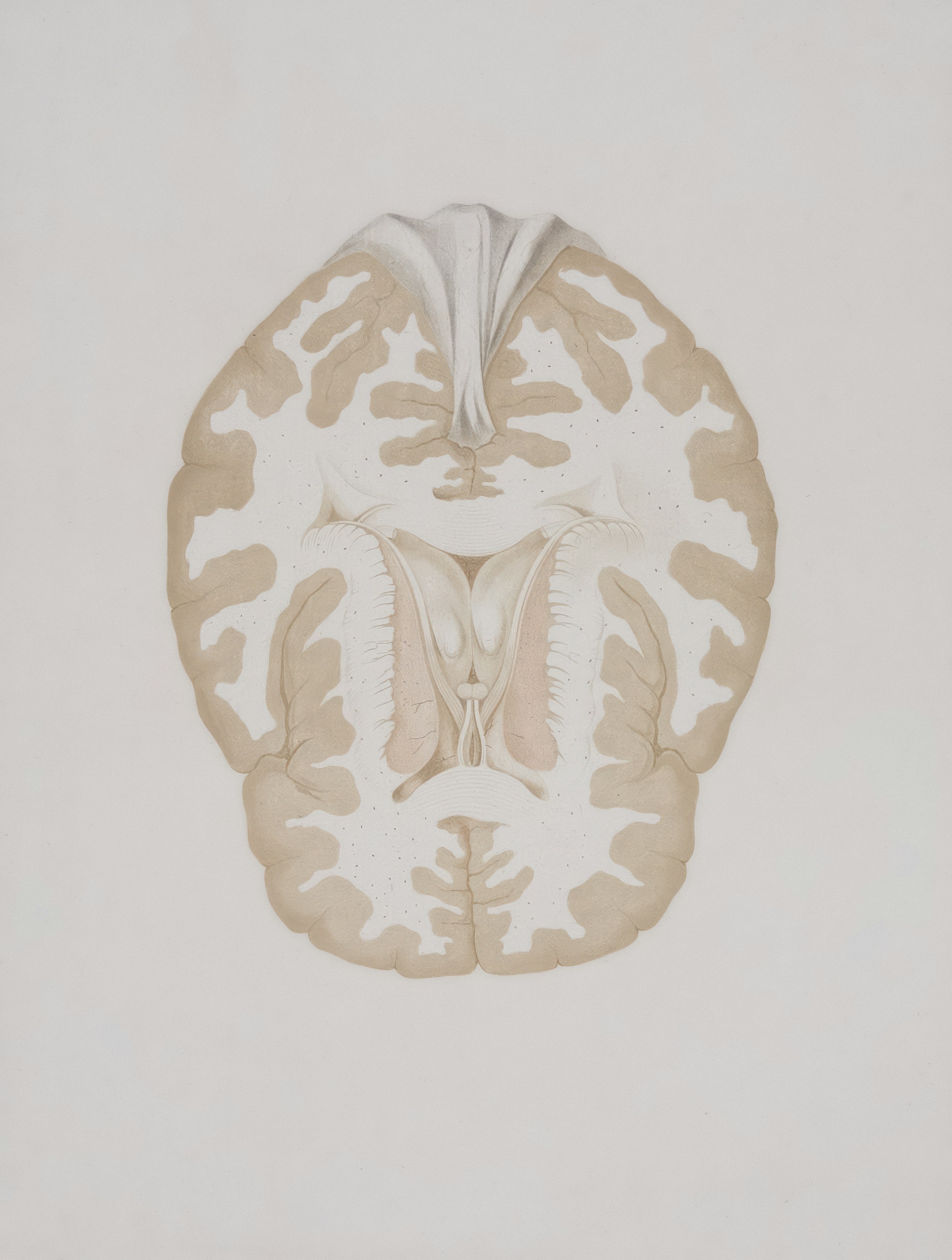 How Regular Cold Exposure Rewires Neural Pathways