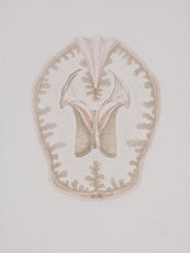 a drawing of a pair of high heeled shoes