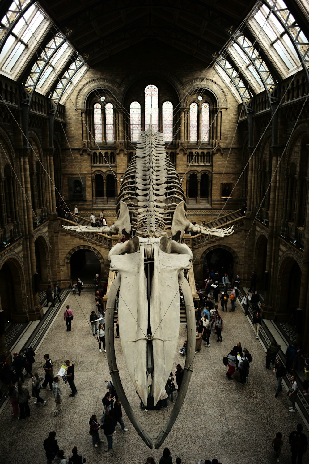 a large whale skeleton in a museum filled with people