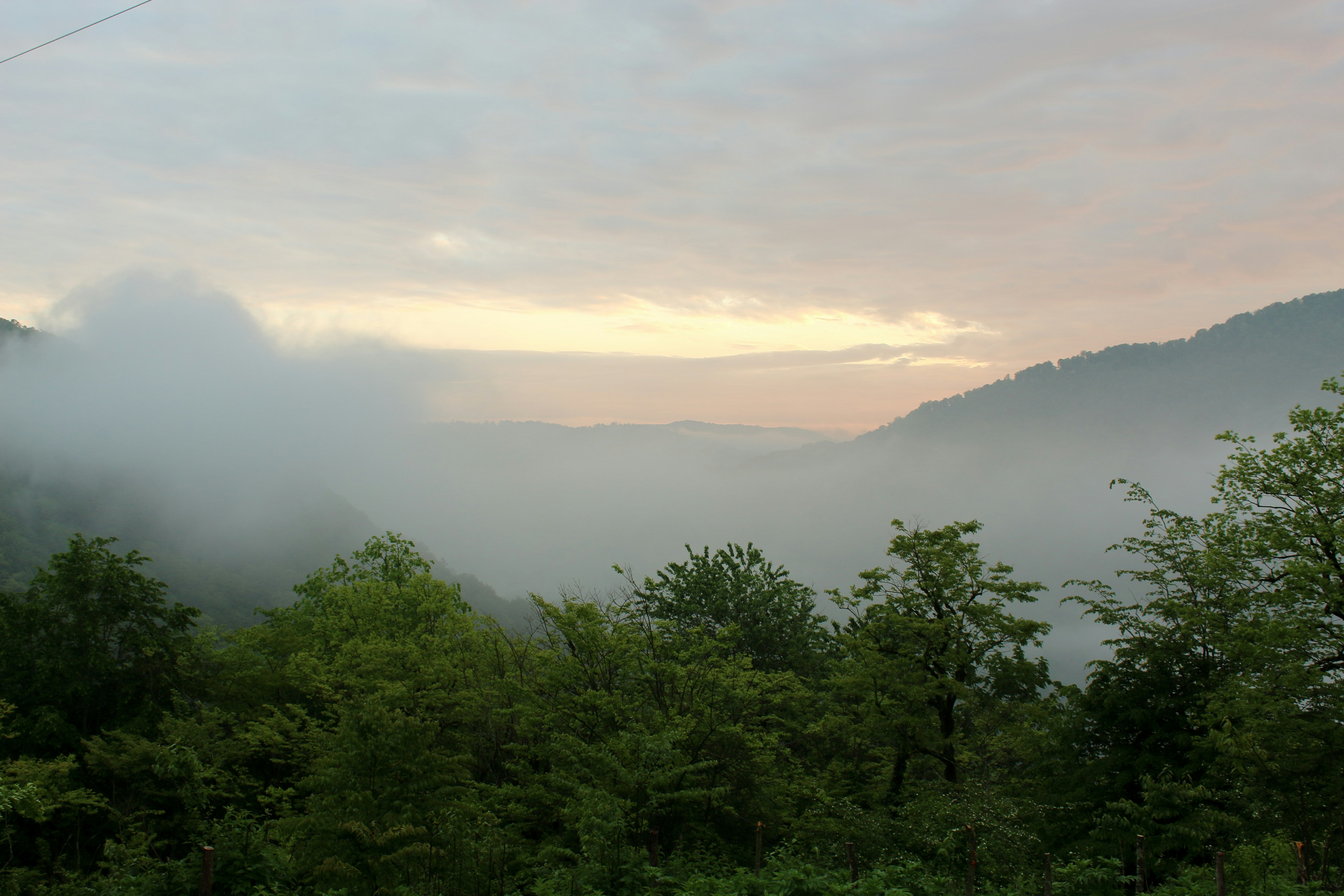 Photo by saleh_aka_jim