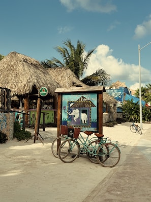 a couple of bikes parked next to each other