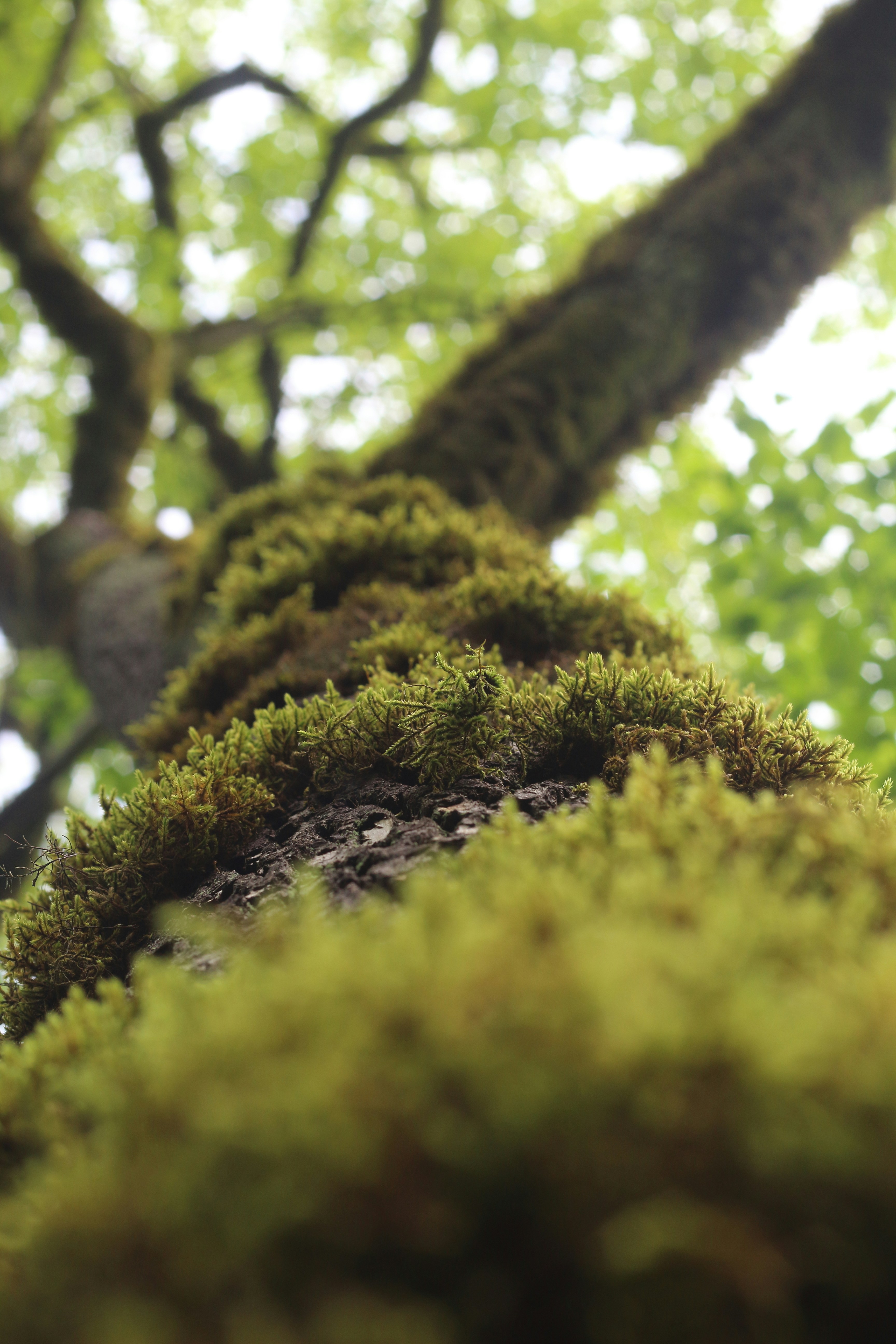 Photo by saleh_aka_jim