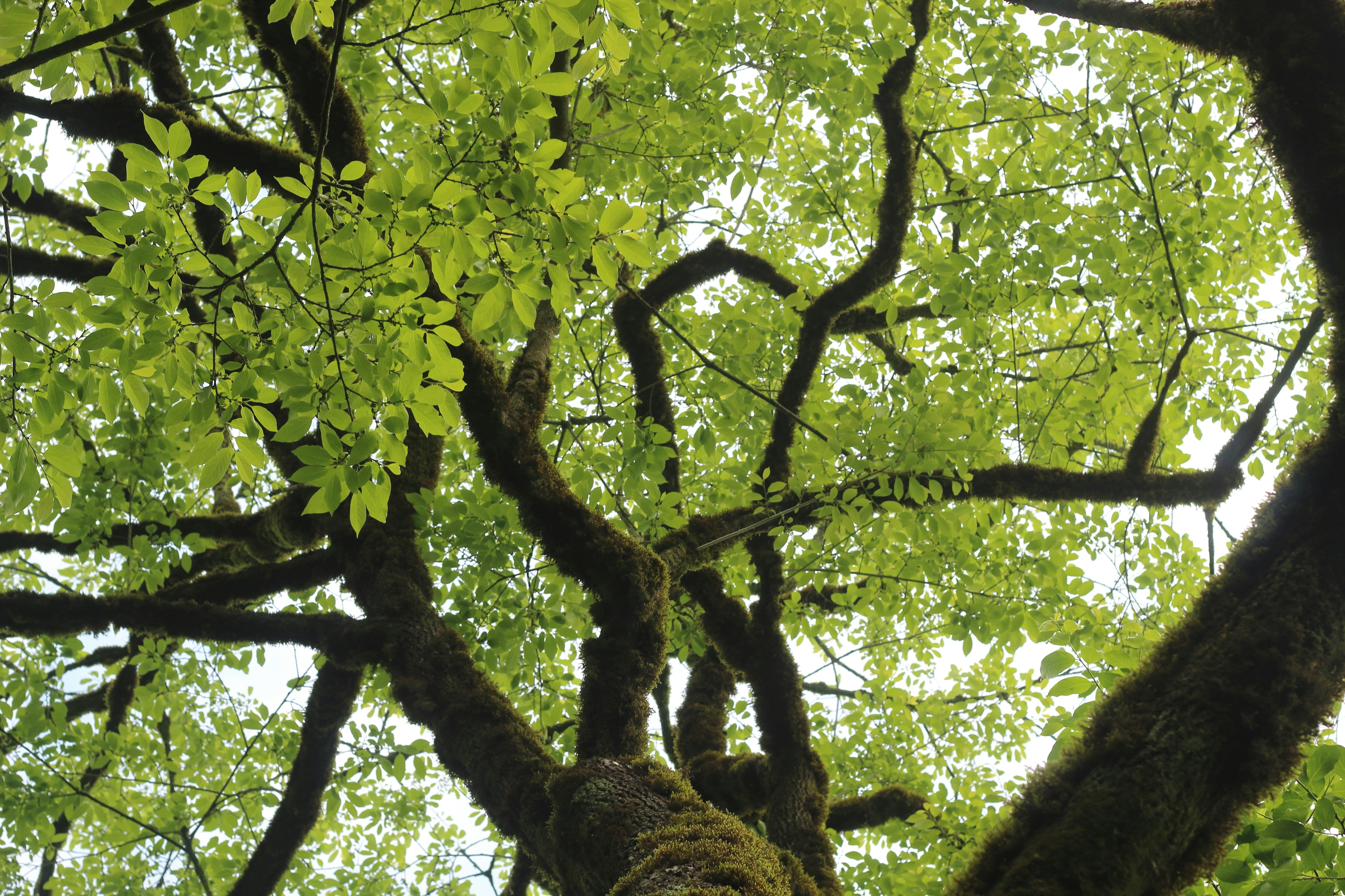 Photo by saleh_aka_jim