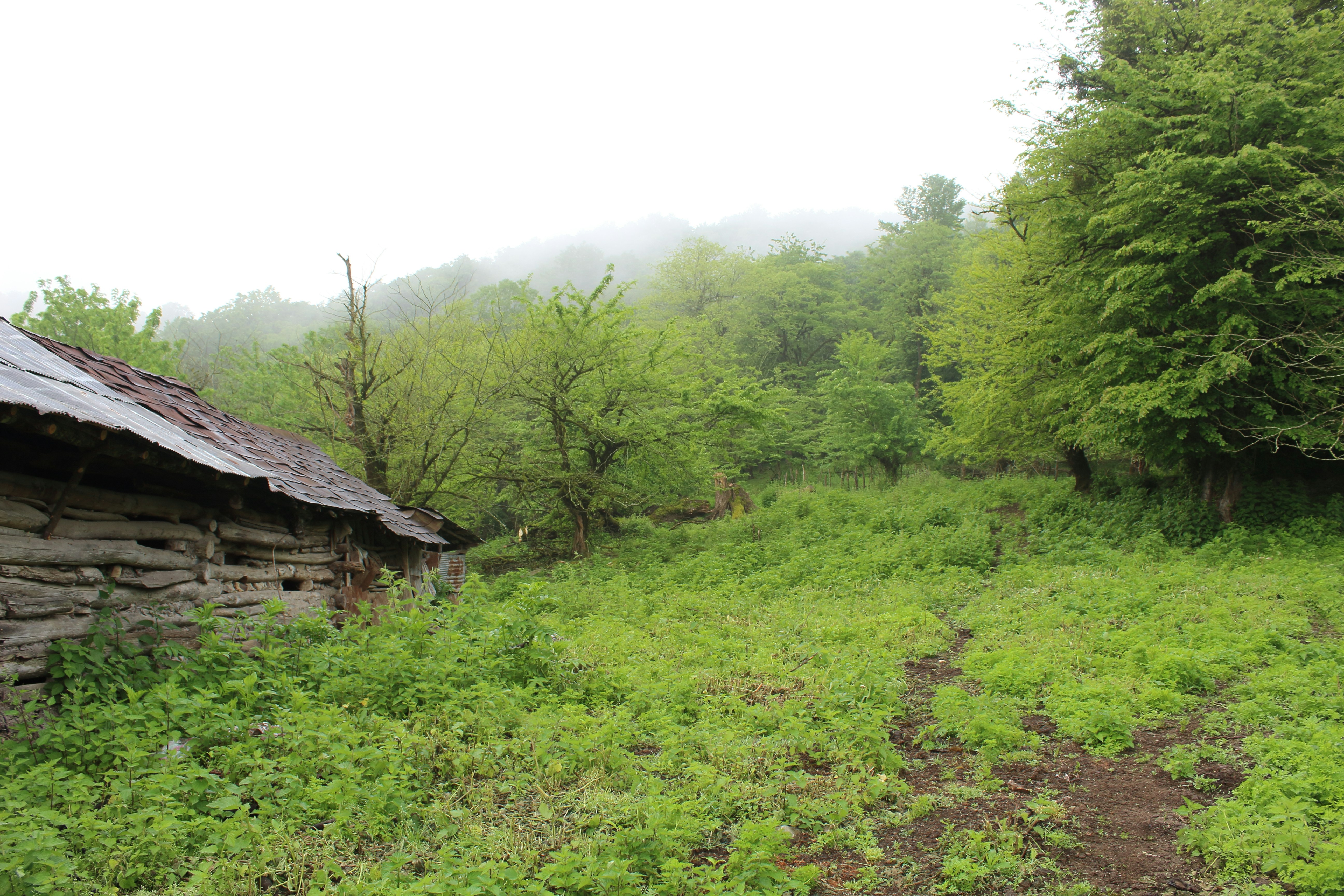 Photo by saleh_aka_jim