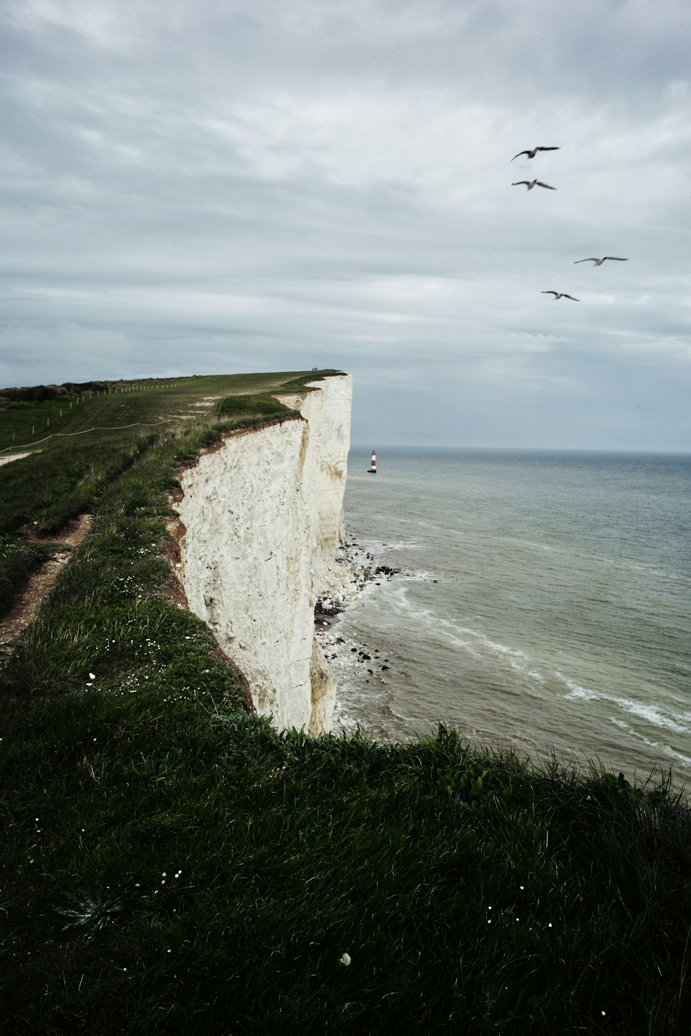 a group of birds flying over the top of a cliff