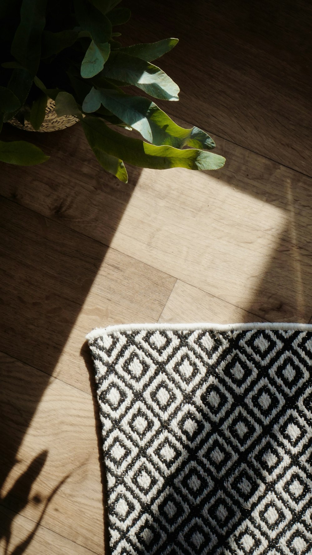 a vase of flowers sitting on top of a wooden floor