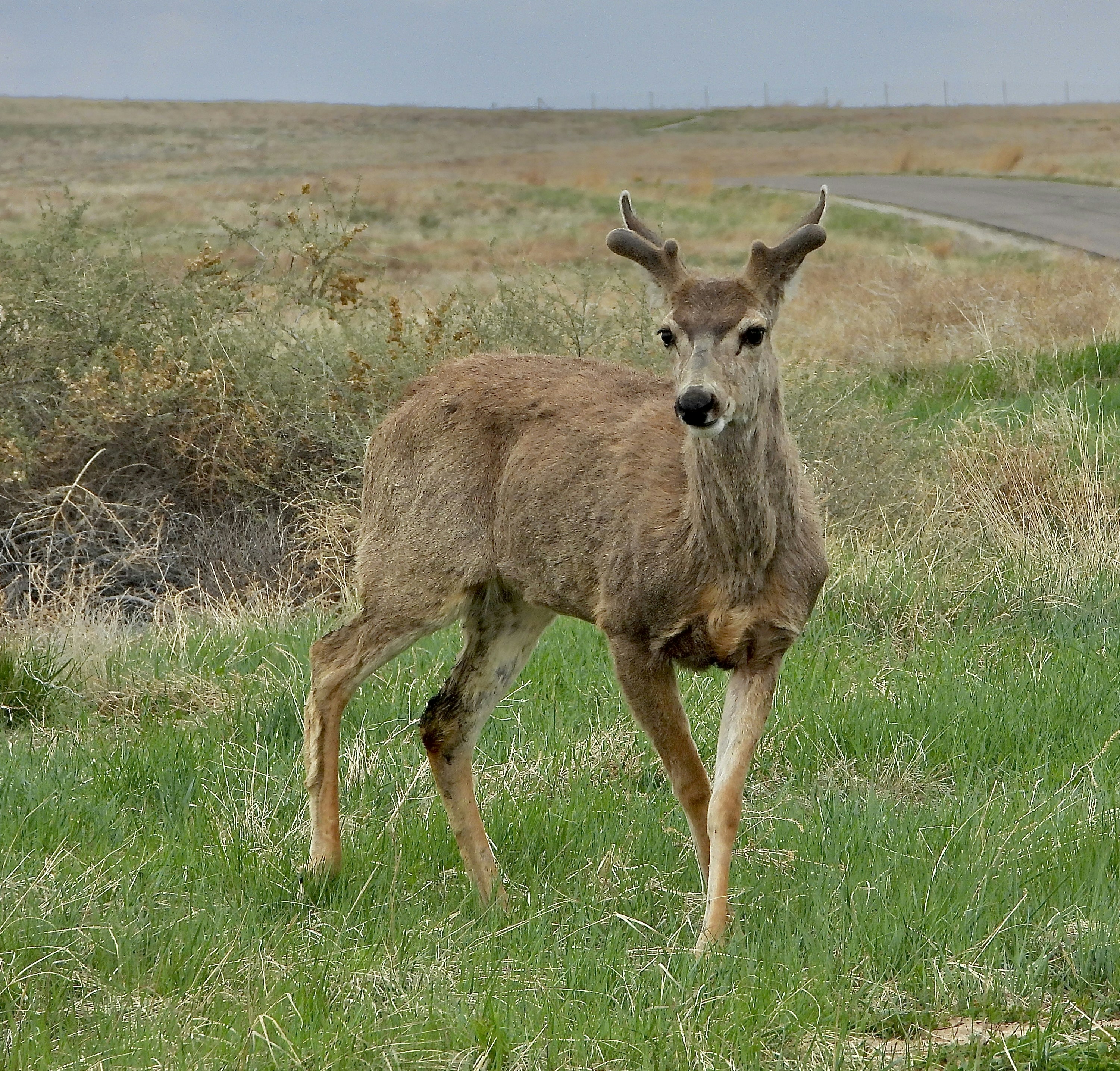 Photo by evergreene24