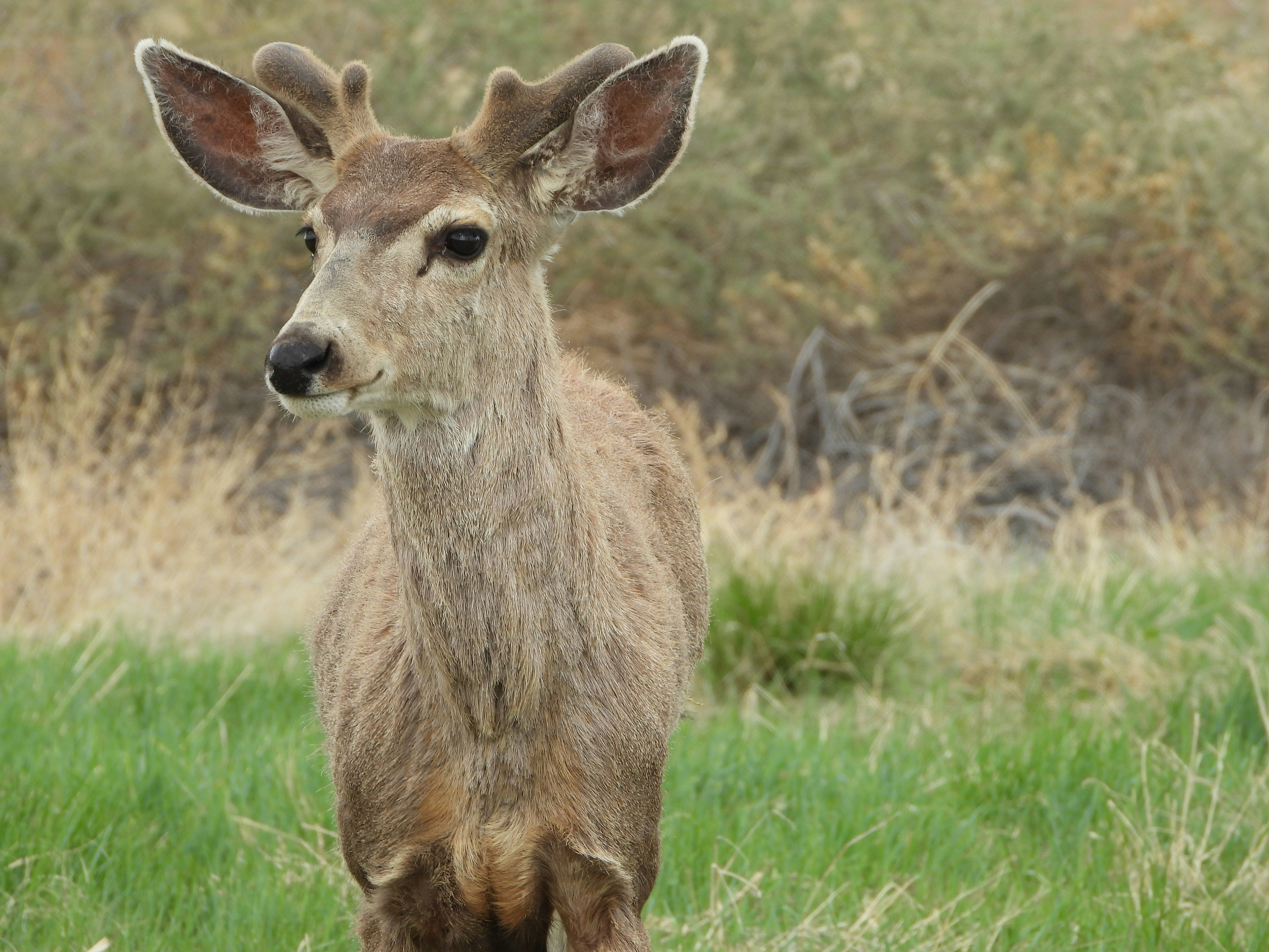 Photo by evergreene24