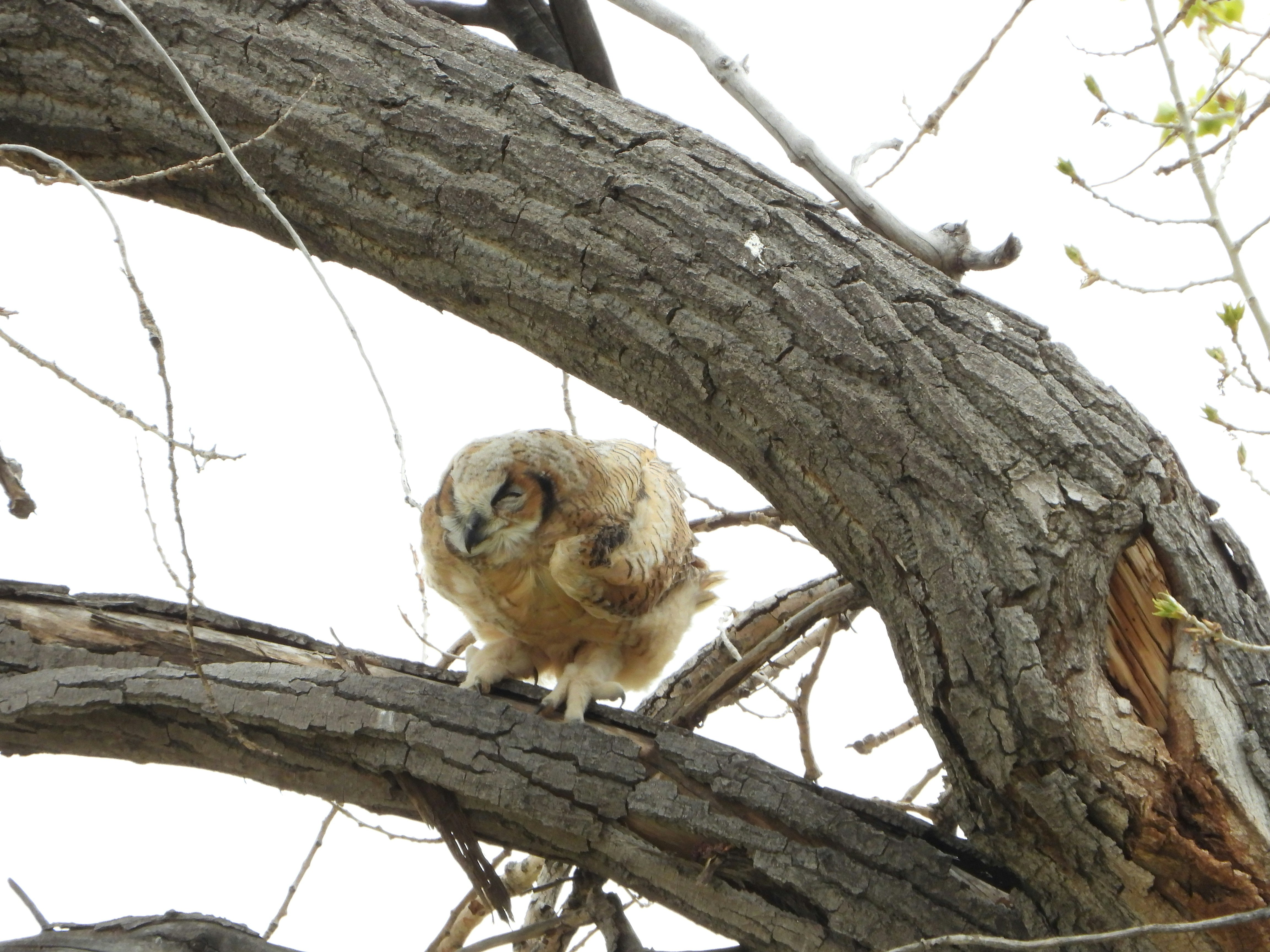 Photo by evergreene24