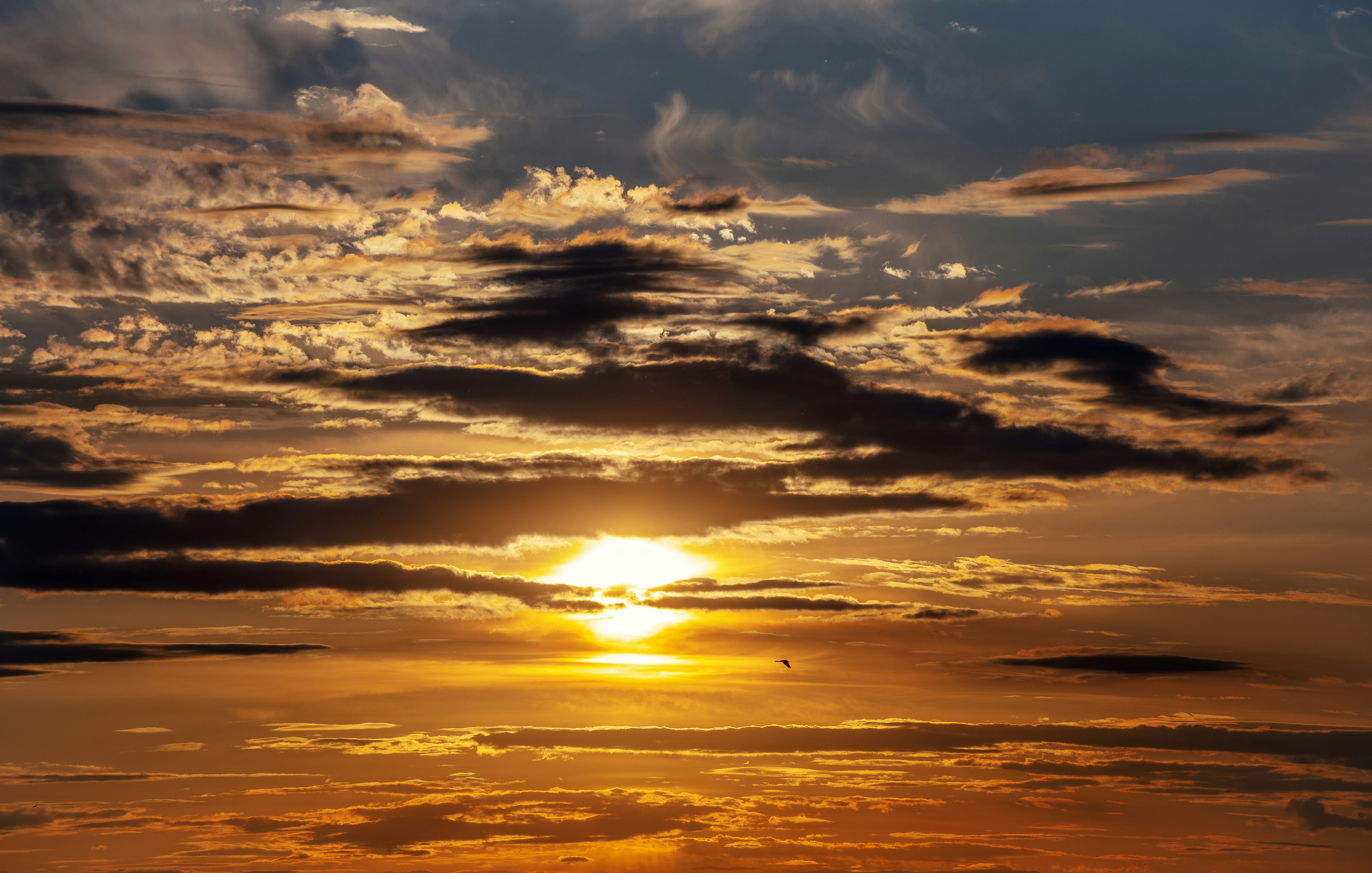 Photo by gabrielrana