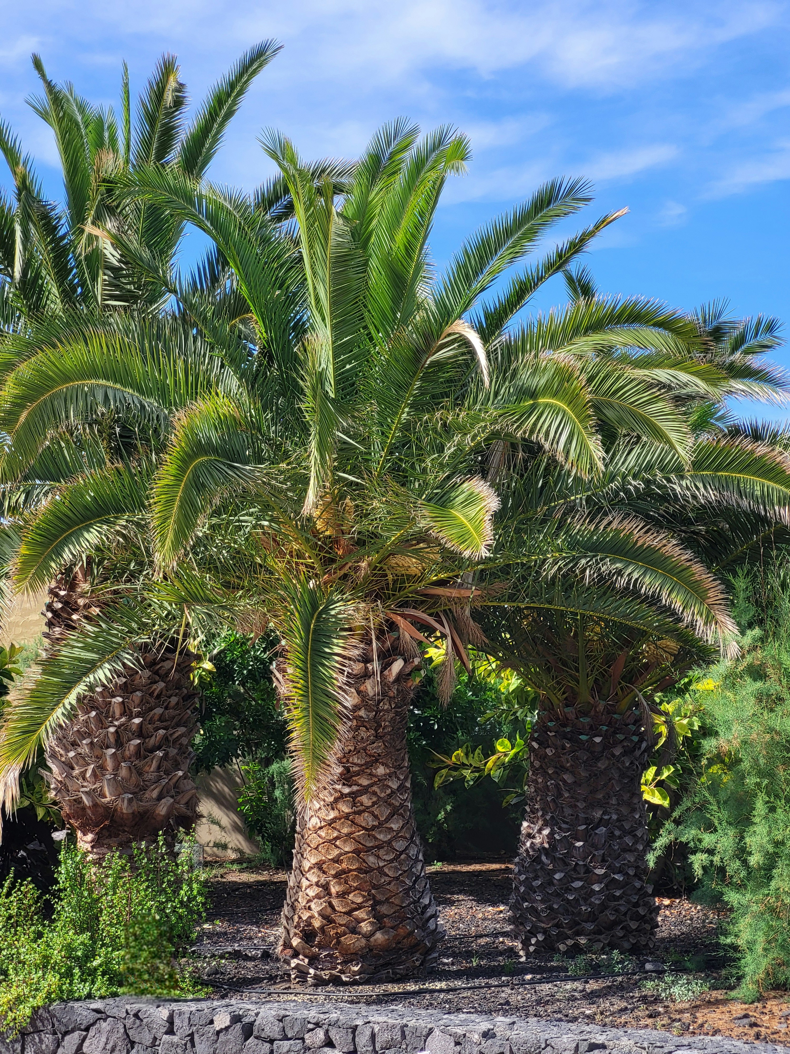 Photo by magictravel