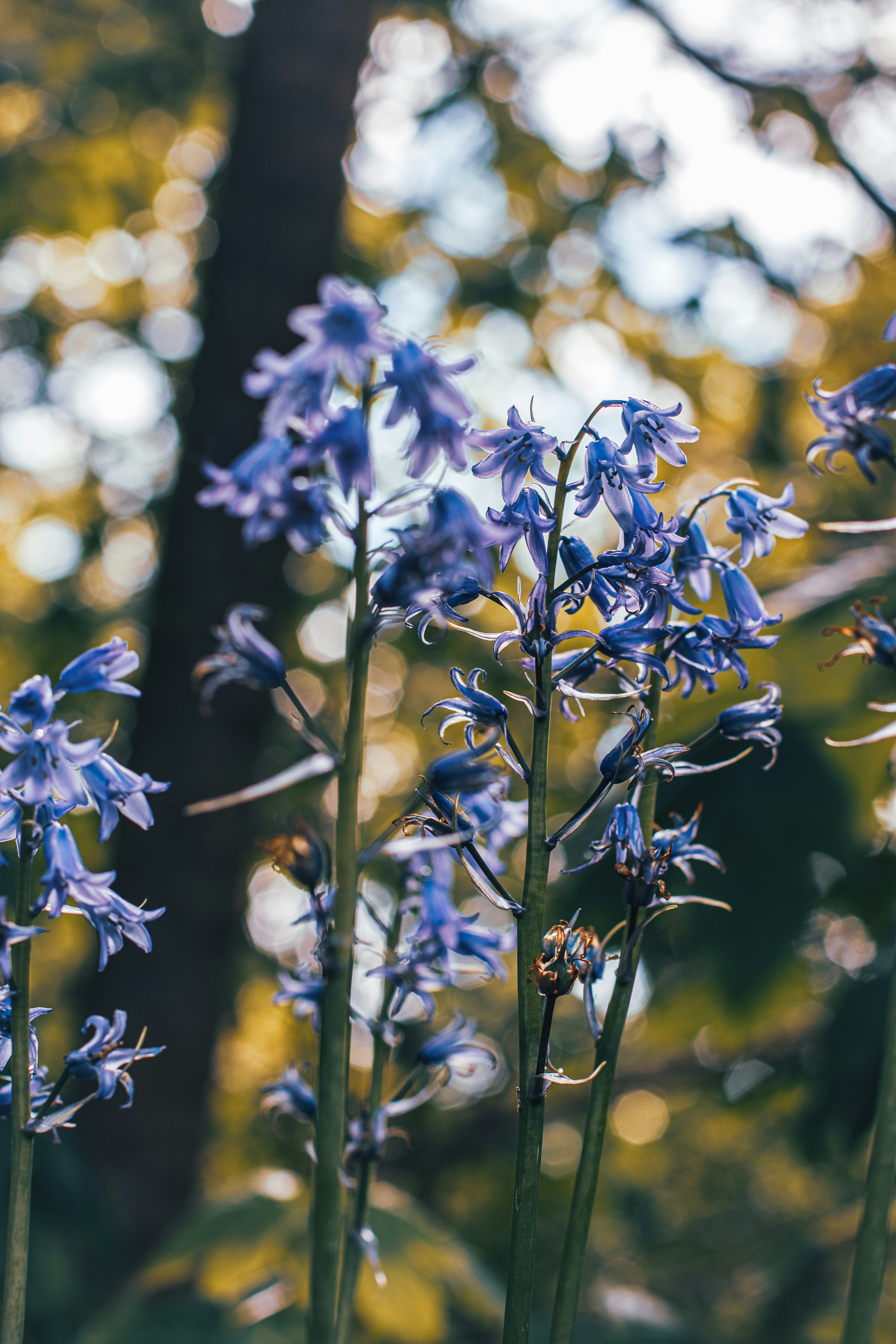 Photo by pizza_crust_slayer