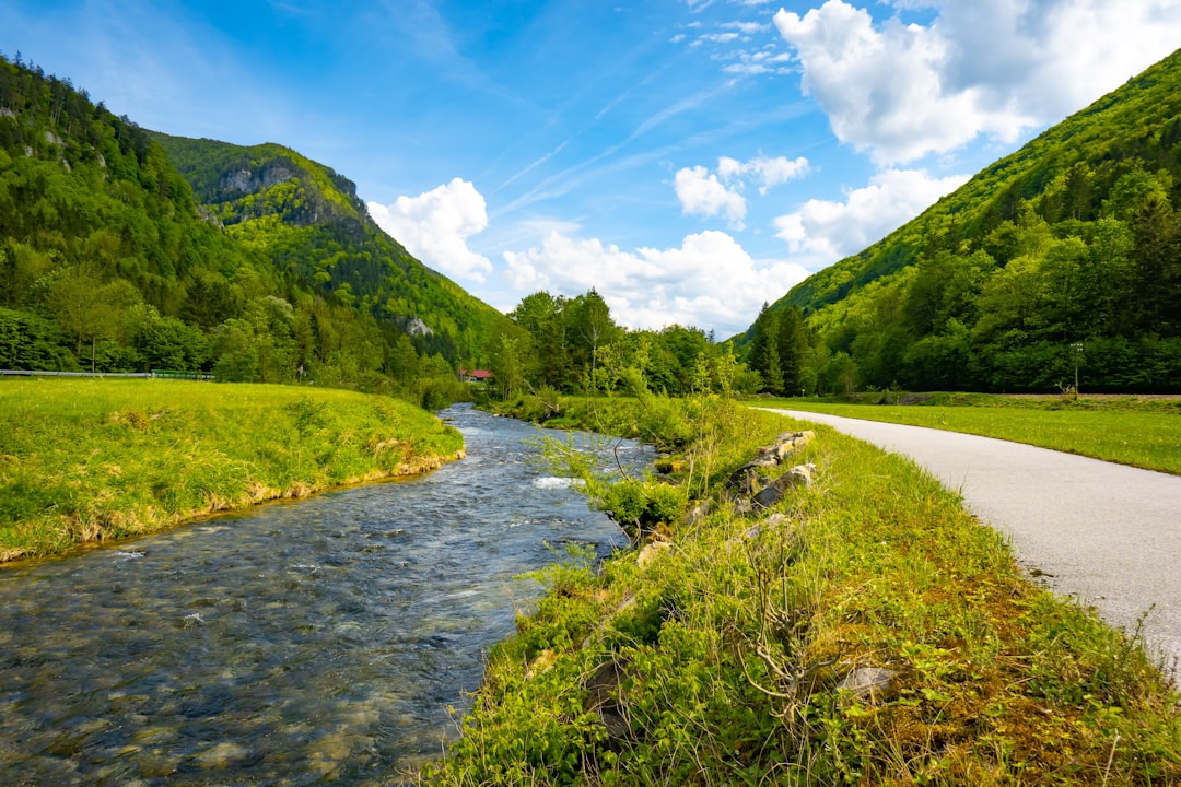 A river running to a lush green forest, at Niederösterreich, Türnitz Austria.