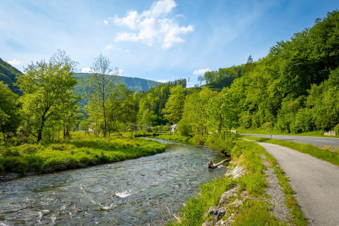 A river running to a lush green forest, at Niederösterreich, Türnitz Austria.