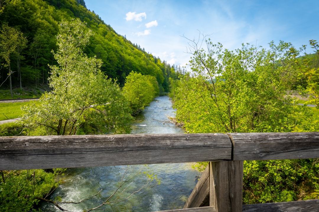 A beautiful green view along the river, on a wooden bridge at Kandlhof, Niederösterreich, Austria.