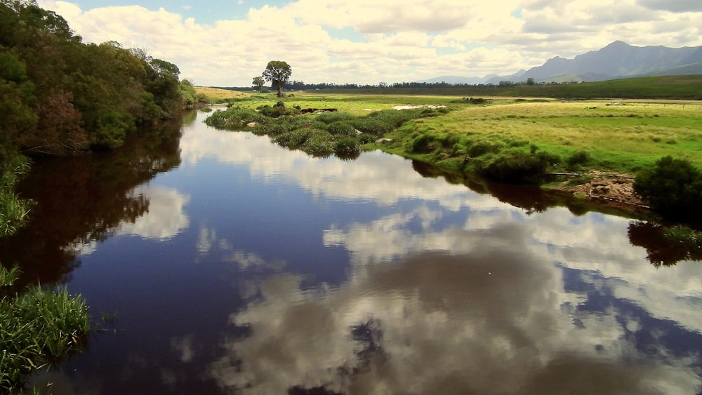 a river running through a lush green countryside