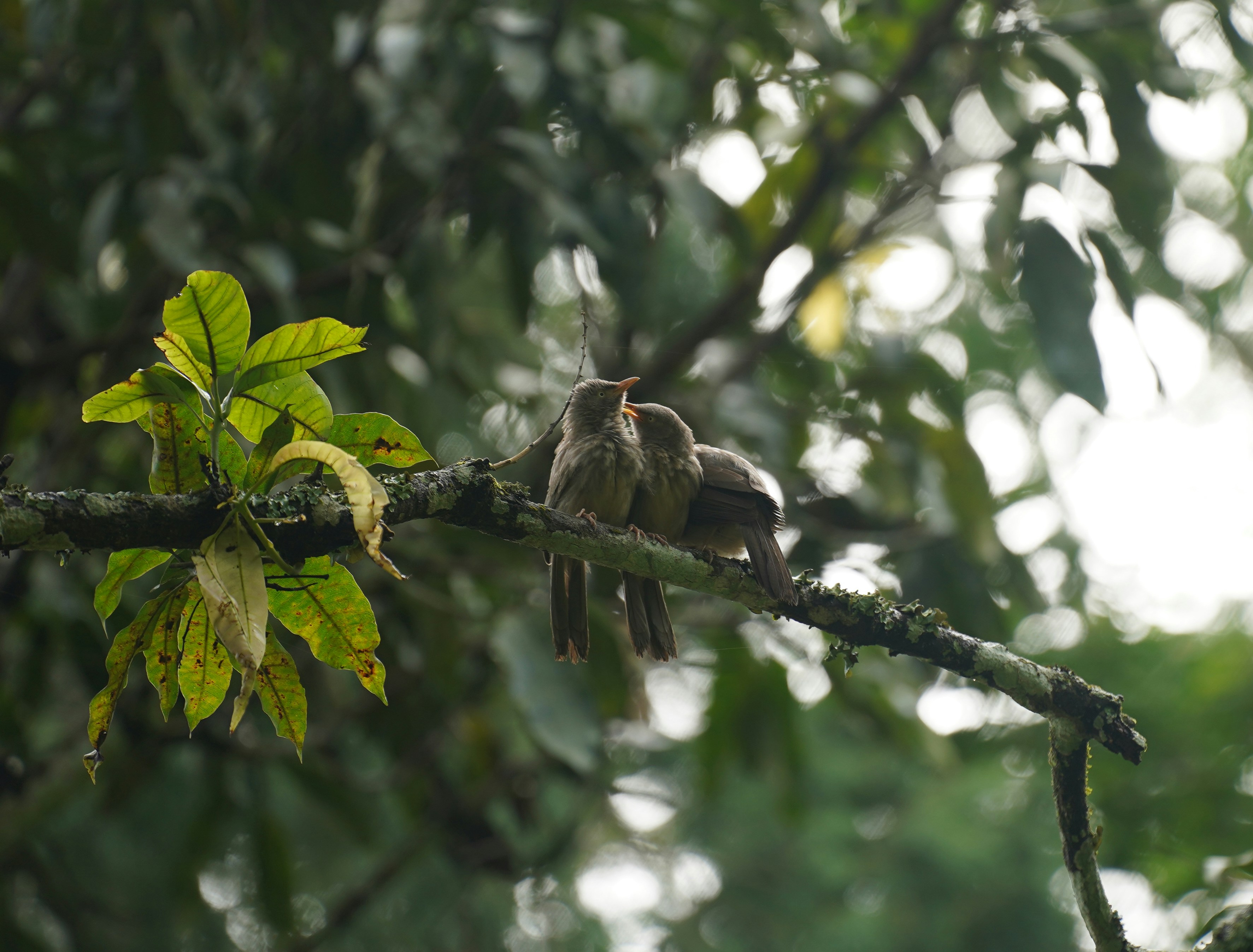 Photo by zero0clockjpeg